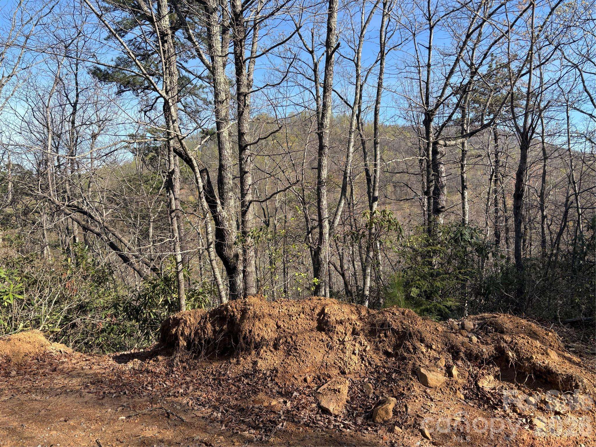 00 Kathy Lake DR #24/25, Edneyville, NC 28792