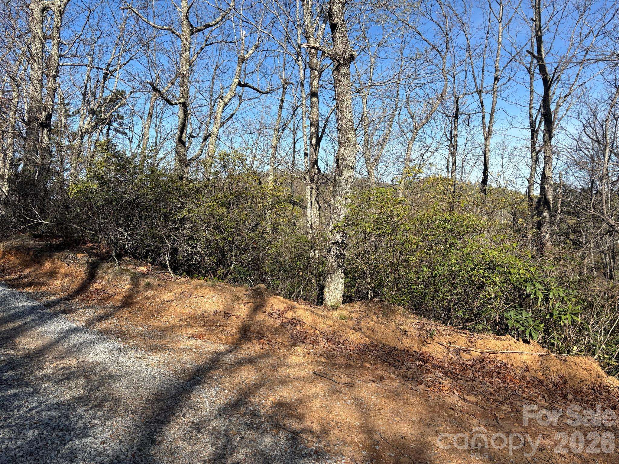 00 Kathy Lake DR #24/25, Edneyville, NC 28792