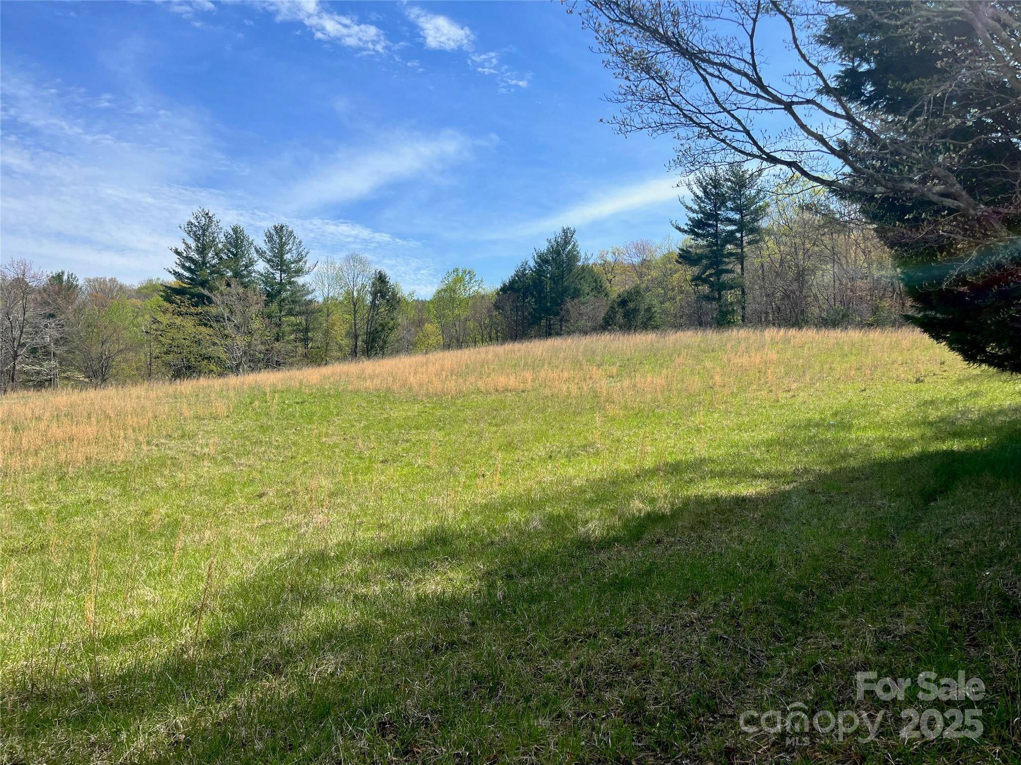 99999 Lollis RD, Candler, NC 28715