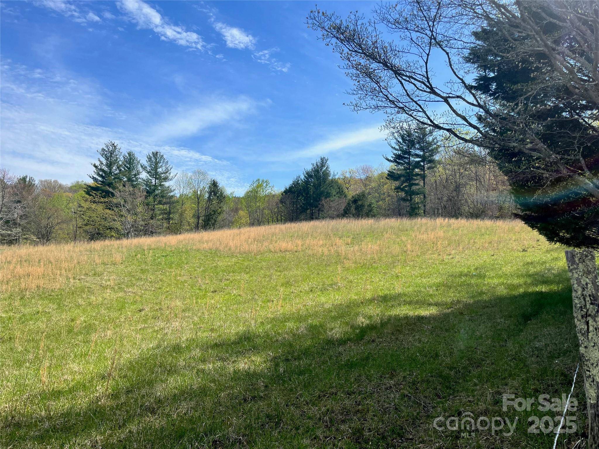 99999 Lollis RD, Candler, NC 28715