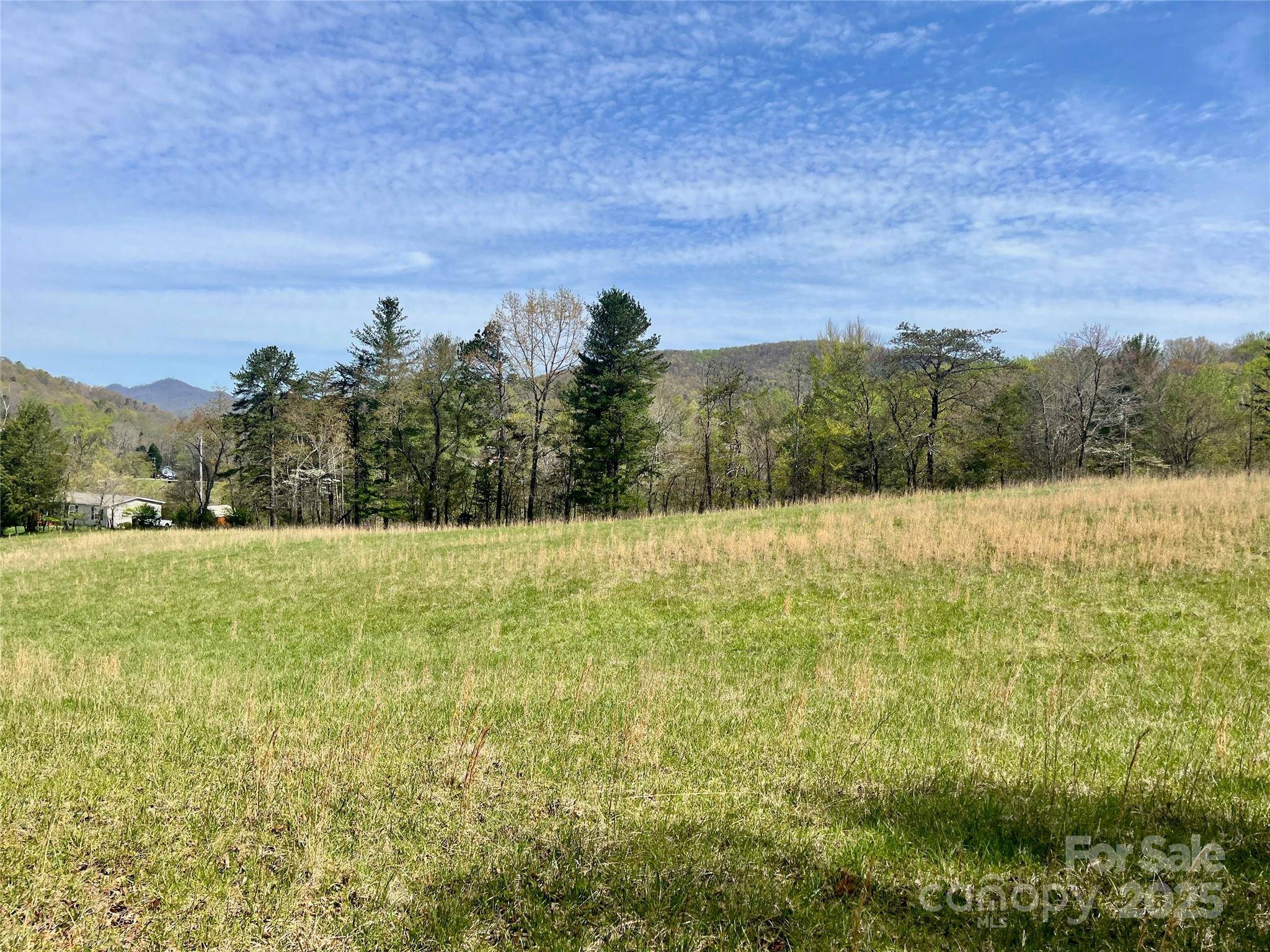99999 Lollis RD, Candler, NC 28715