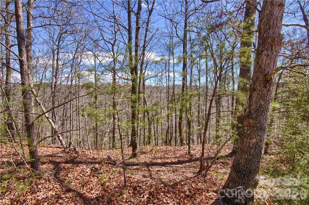 00 N Boundary RD #51/52, Mill Spring, NC 28756