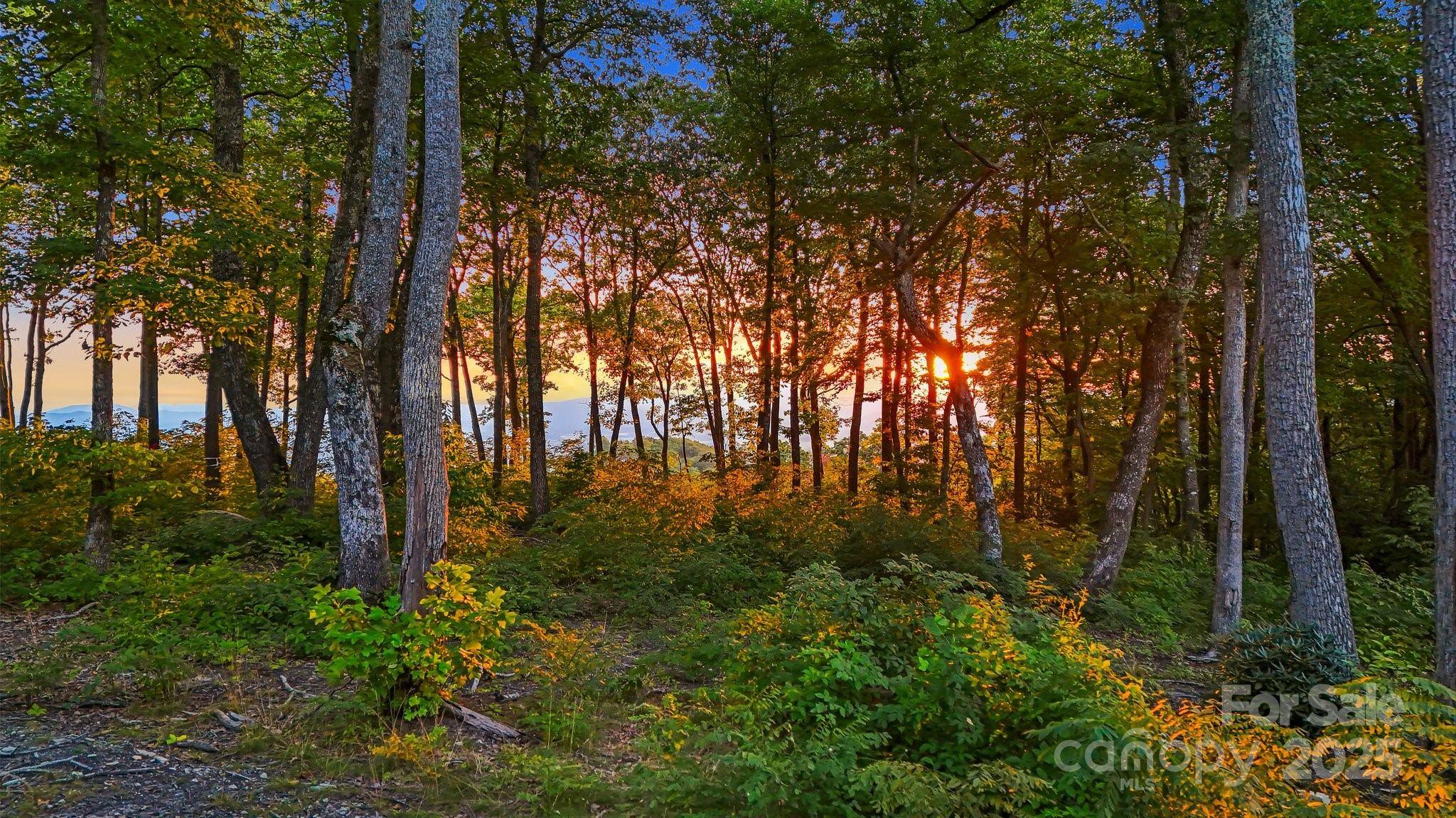 0 Mountain Grove LN #Lot 68, Fletcher, NC 28732