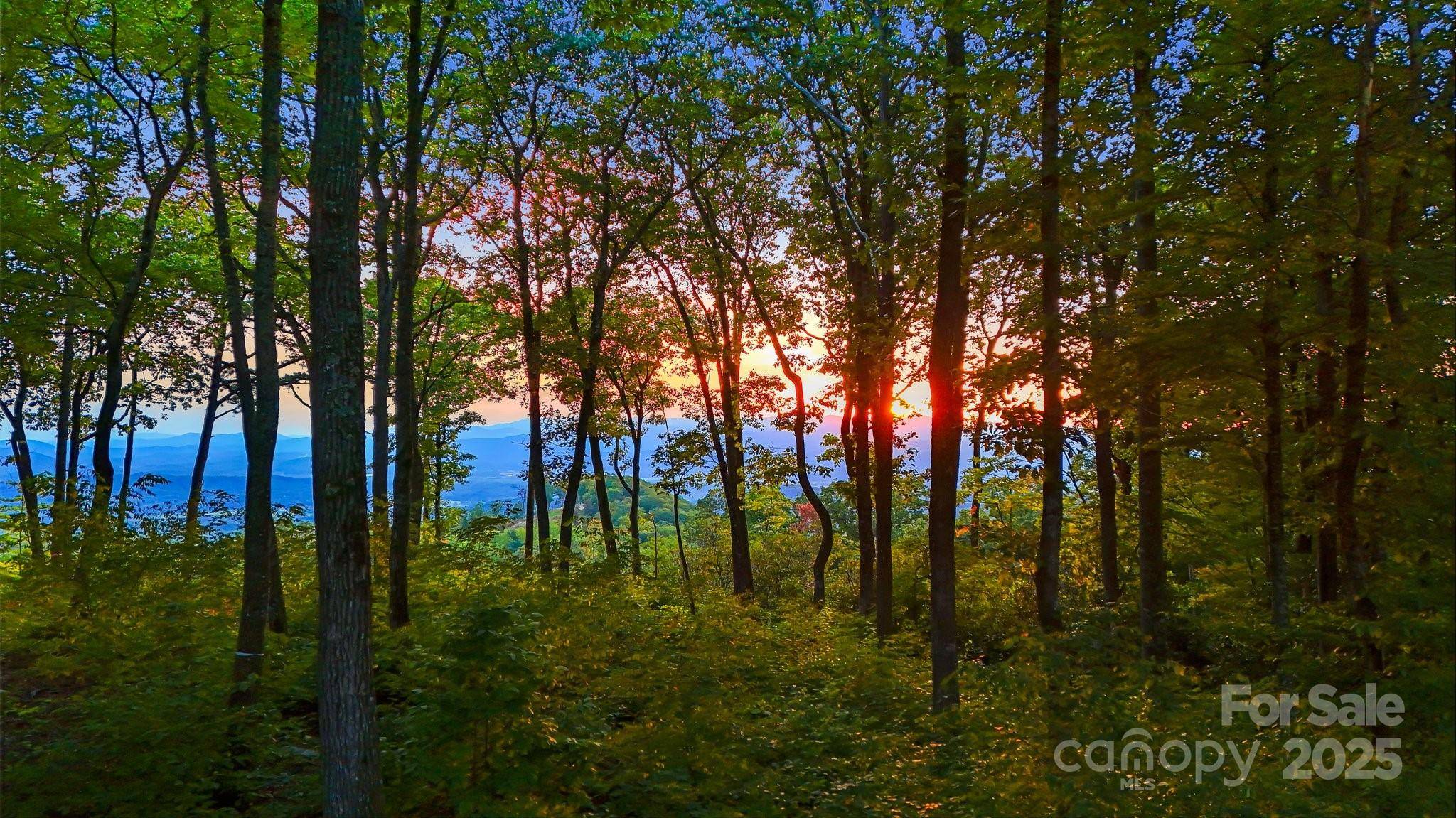 0 Mountain Grove LN #Lot 68, Fletcher, NC 28732
