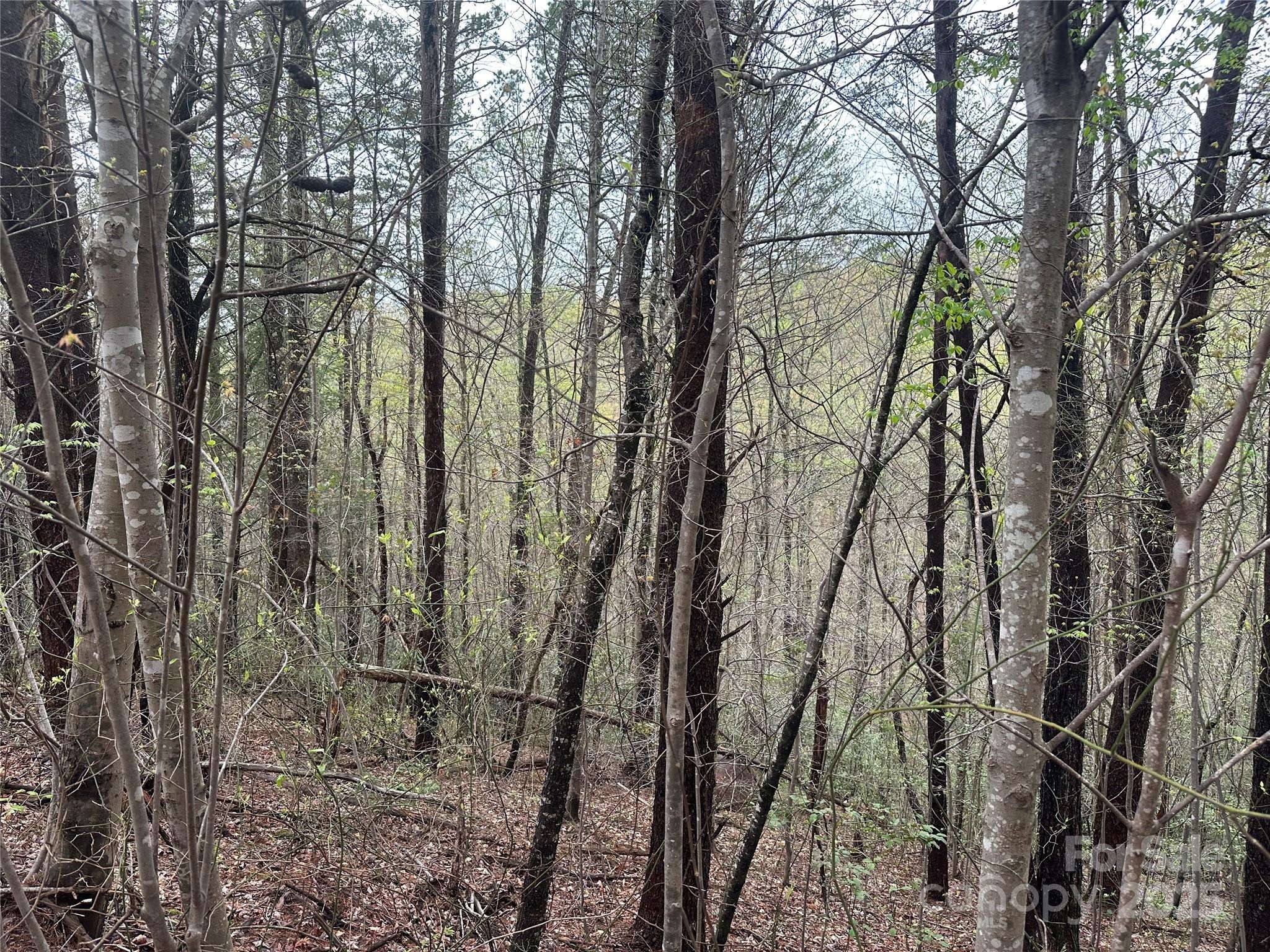 V/L Country Acres DR, Old Fort, NC 28762