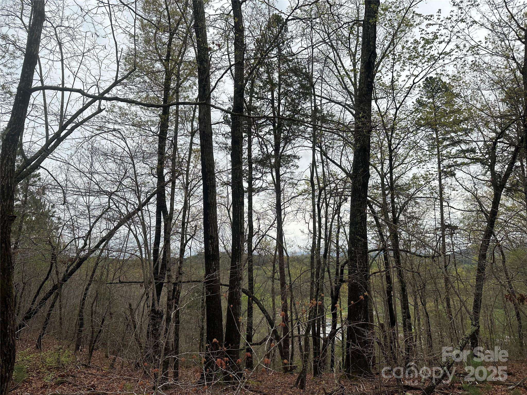 V/L Country Acres DR, Old Fort, NC 28762