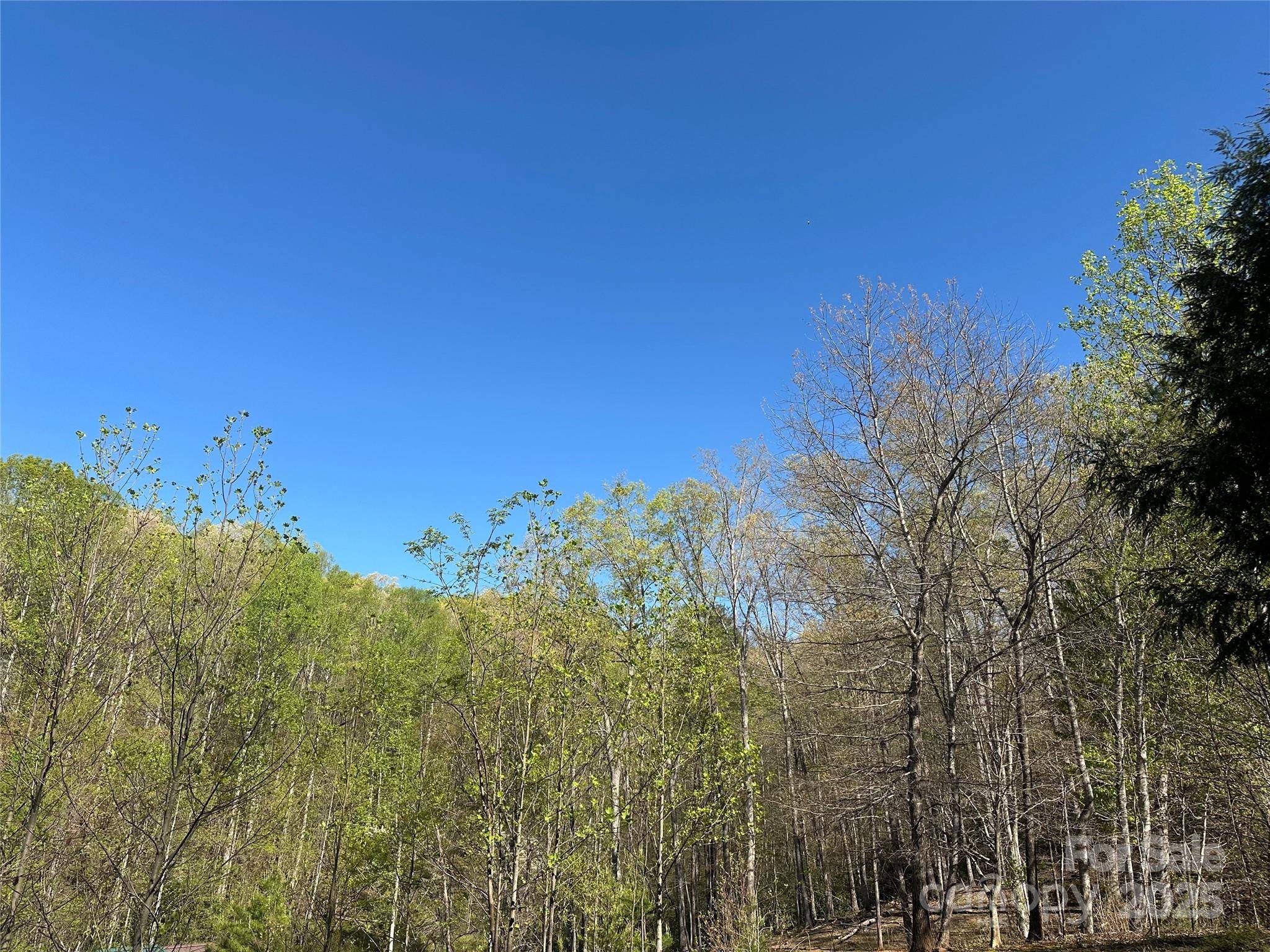 V/L Country Acres DR, Old Fort, NC 28762