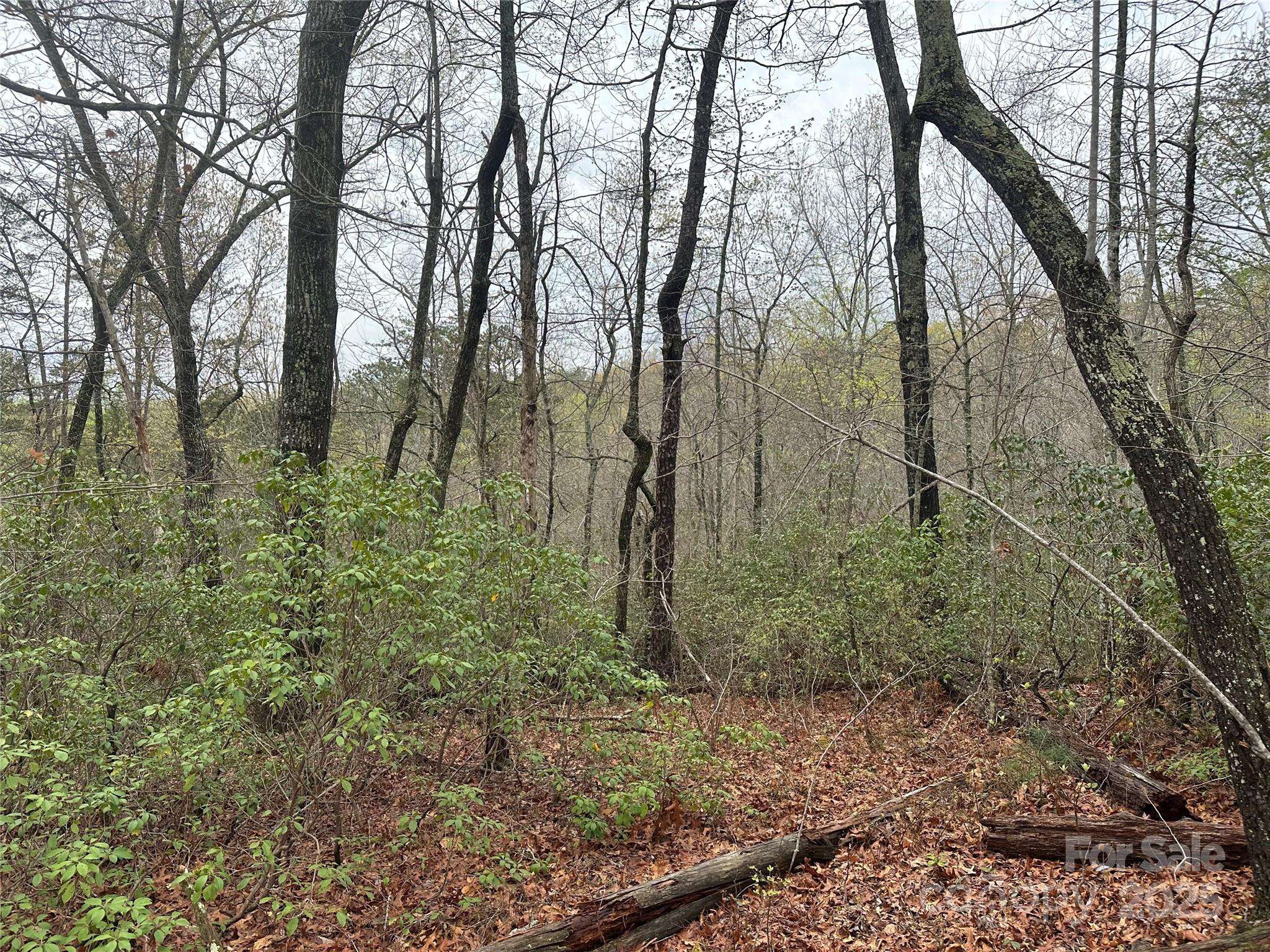 V/L Country Acres DR, Old Fort, NC 28762