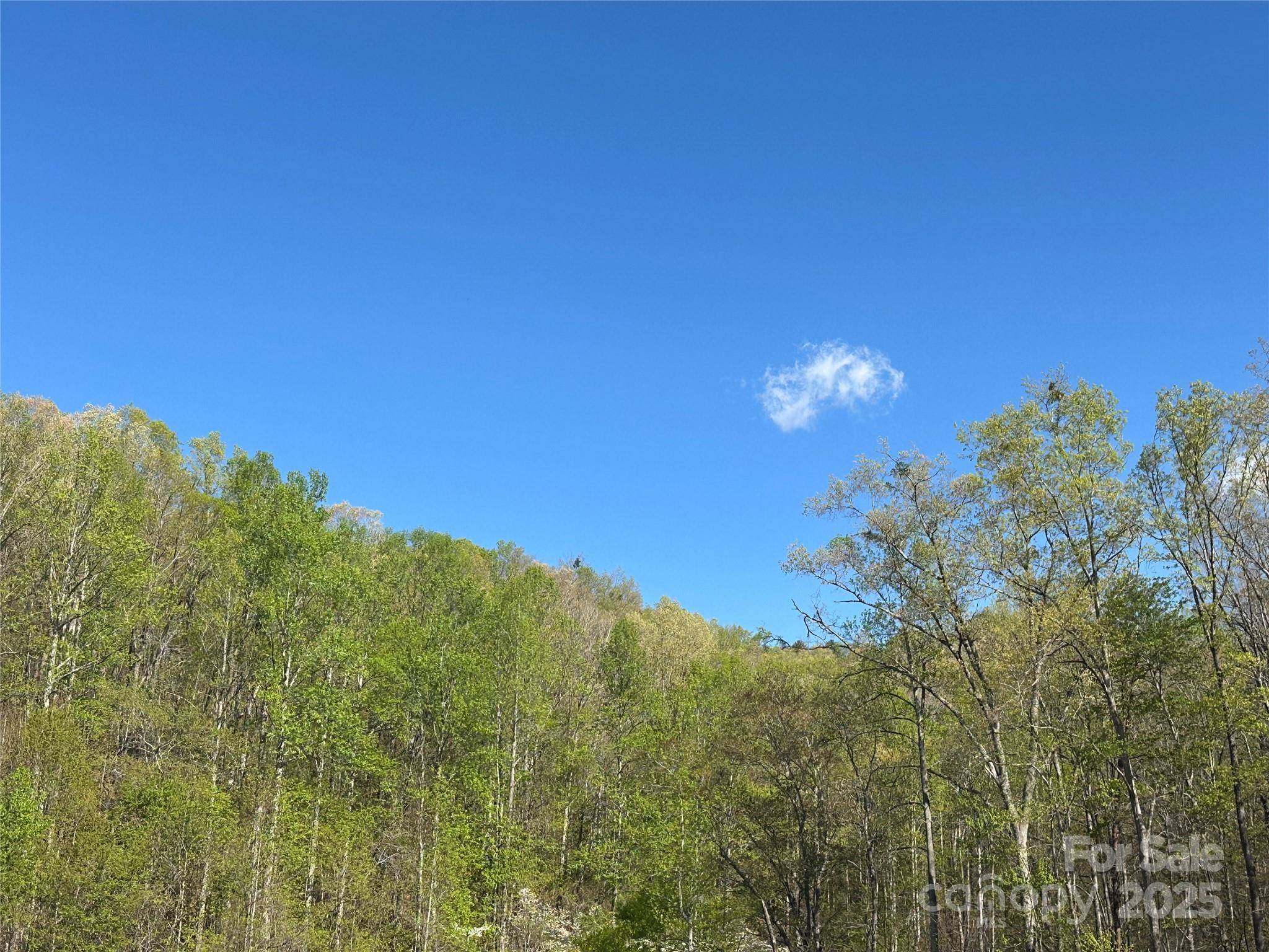 V/L Country Acres DR, Old Fort, NC 28762