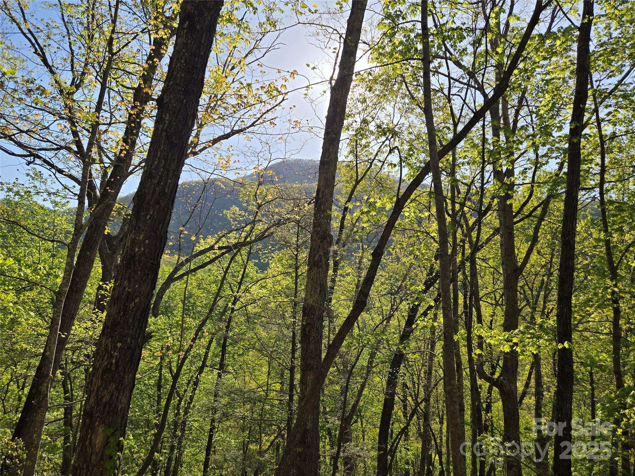 Lot 164 Spanarkel LN, Lake Lure, NC 28746