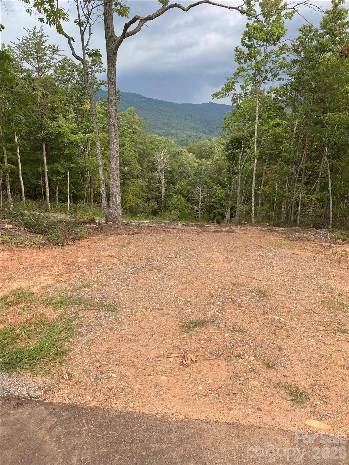 1 Jackson Ridge LN, Mill Spring, NC 28756