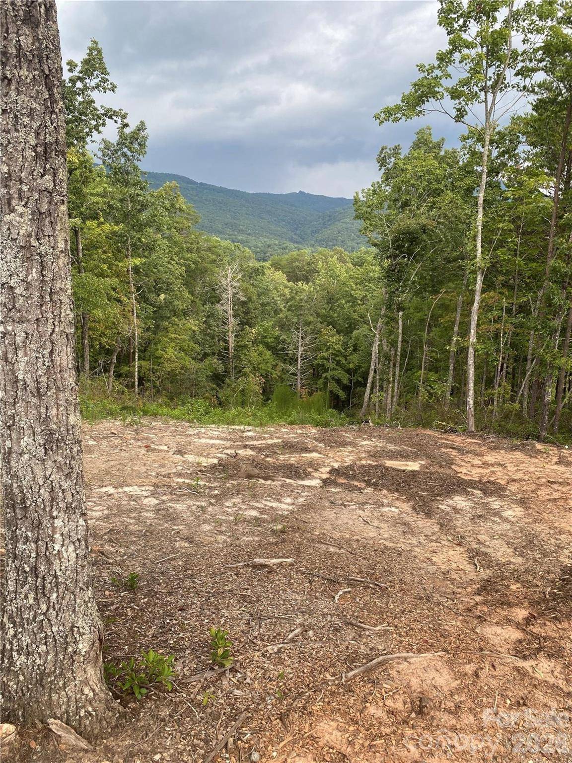1 Jackson Ridge LN, Mill Spring, NC 28756