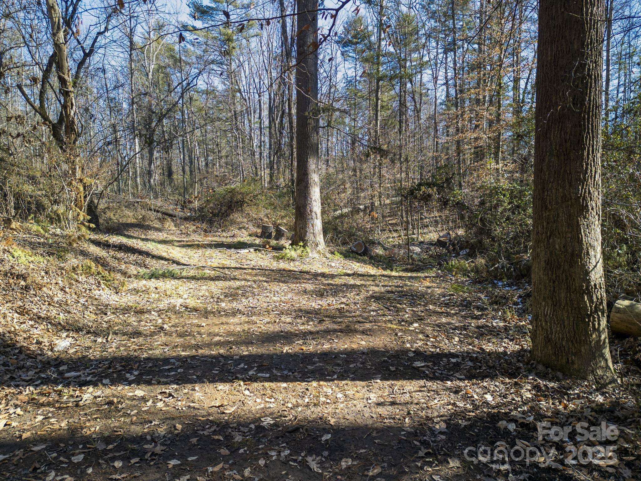 99999 Monticello RD, Weaverville, NC 28787