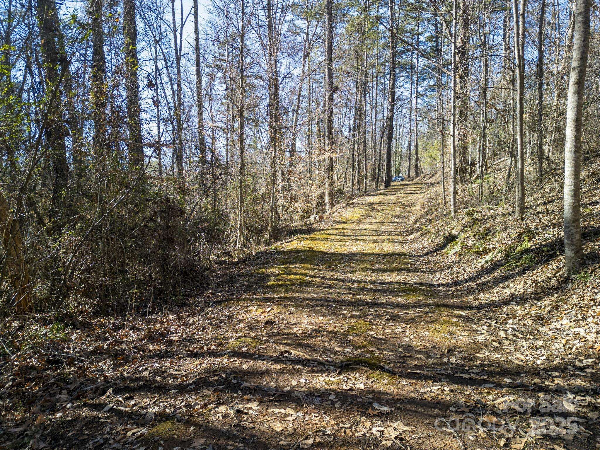 99999 Monticello RD, Weaverville, NC 28787