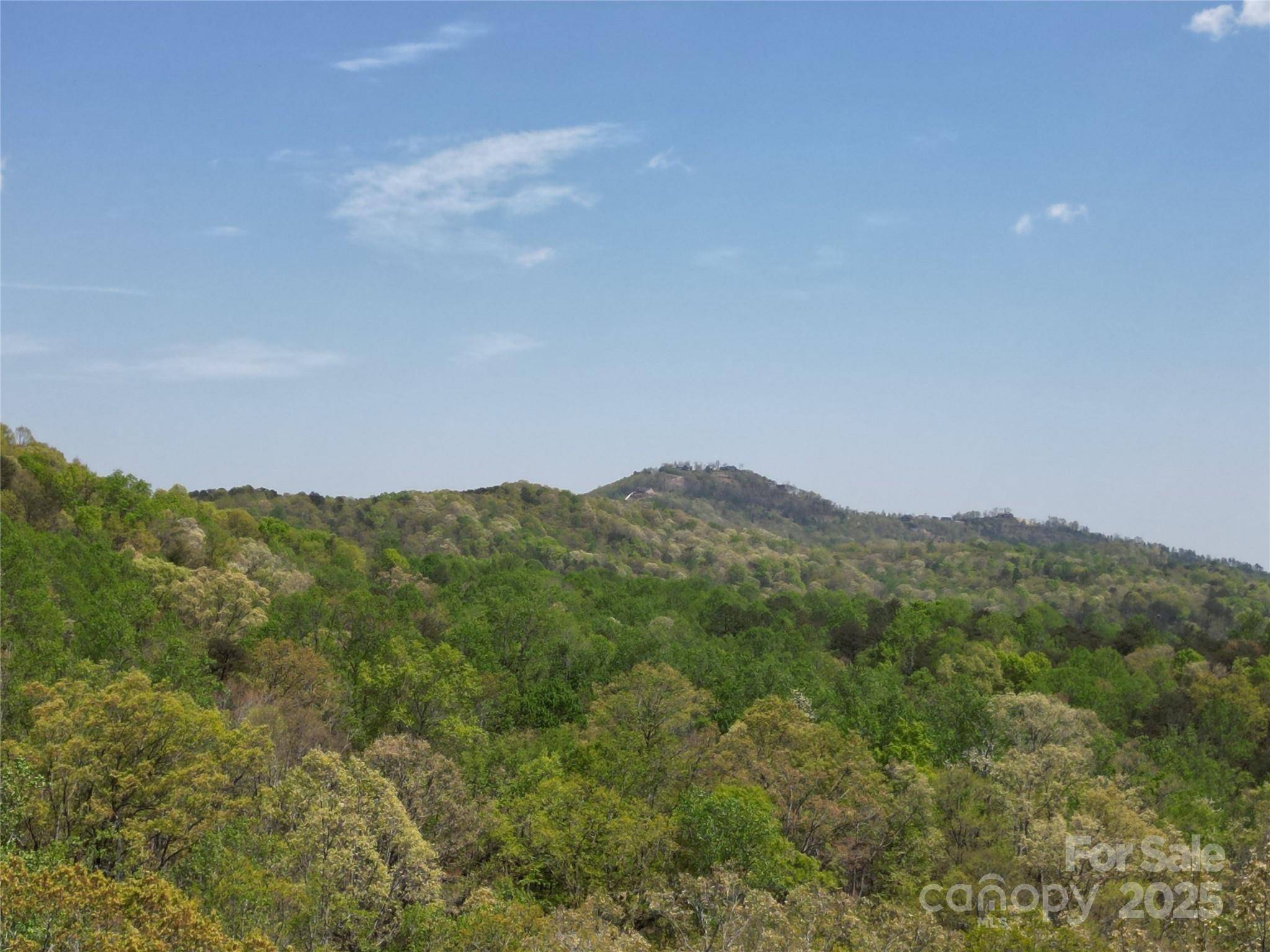Lot 13 Back Hollow DR, Lake Lure, NC 28746