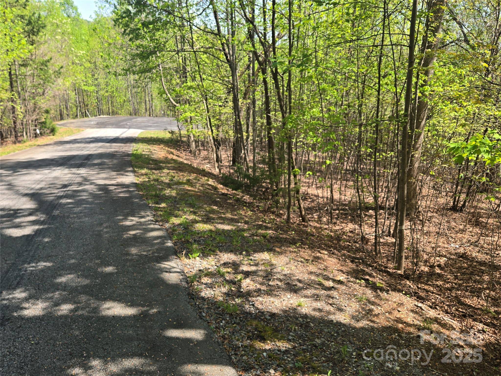 Lot 14 Back Hollow DR, Lake Lure, NC 28746