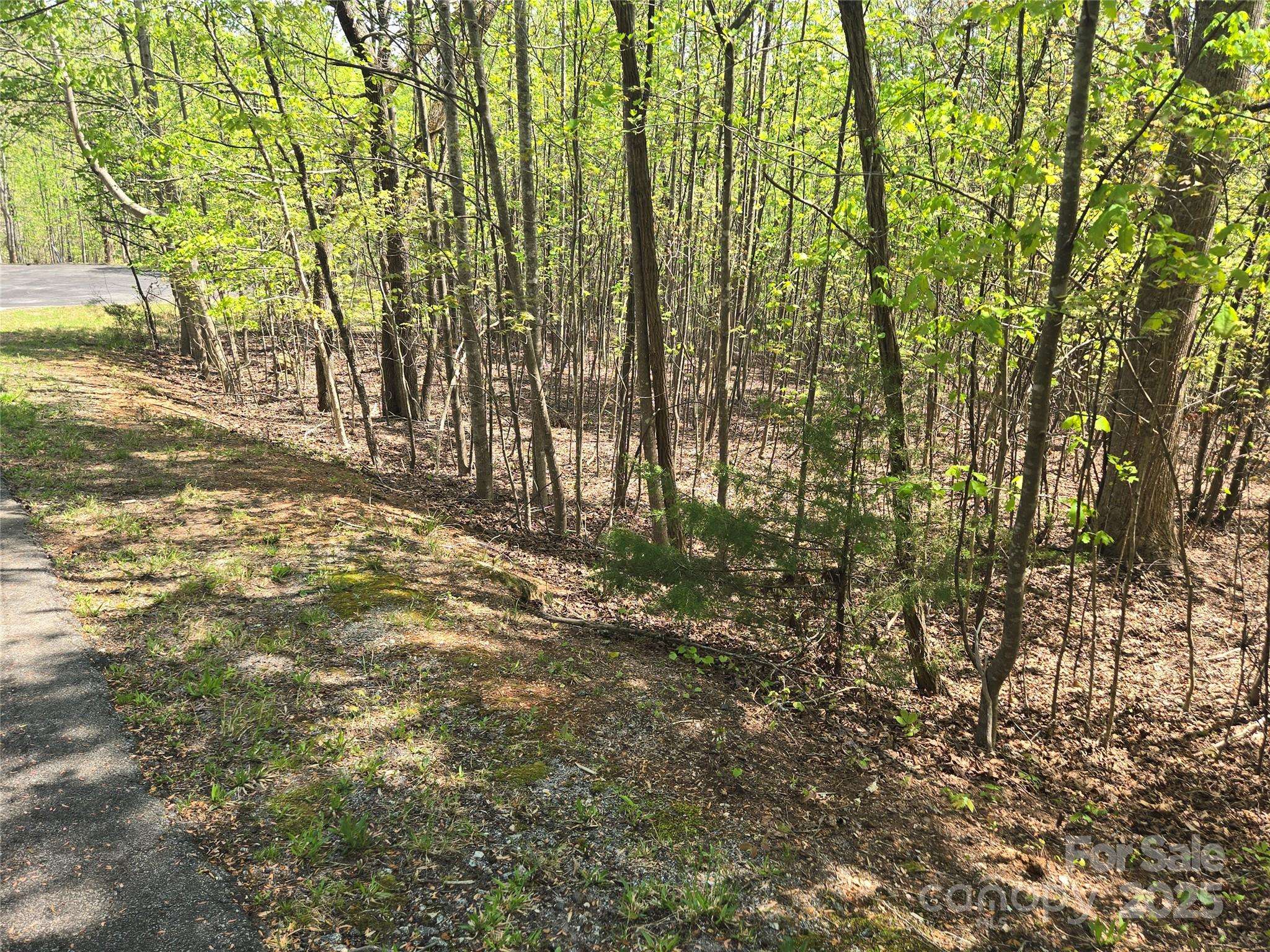 Lot 14 Back Hollow DR, Lake Lure, NC 28746
