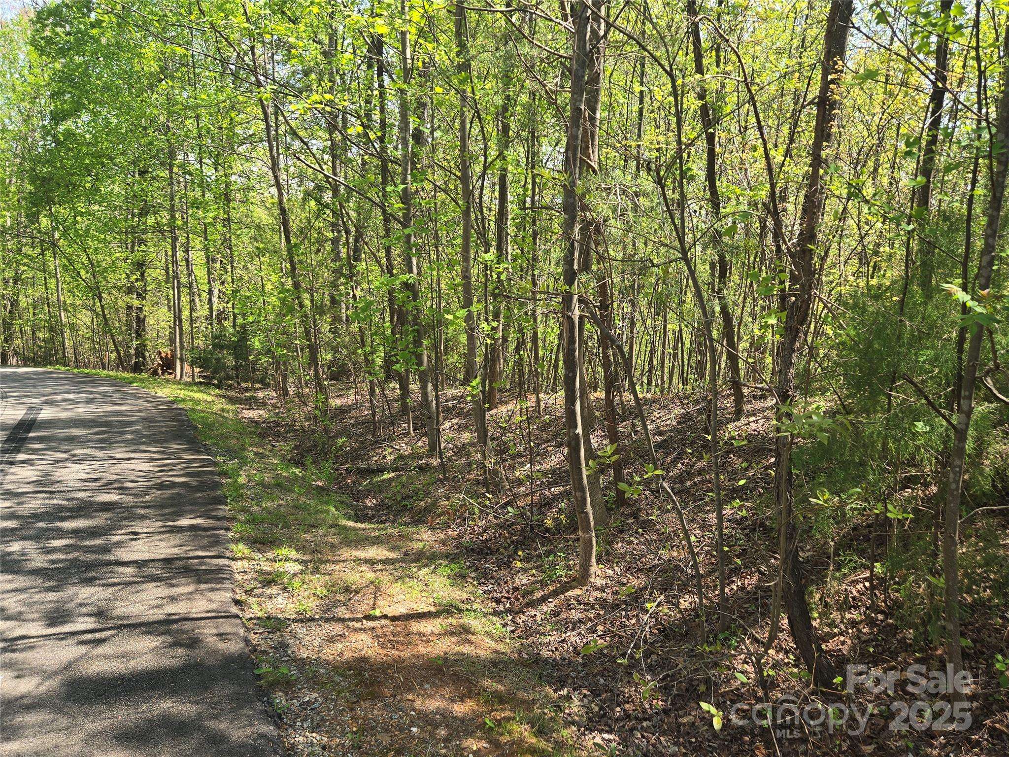 Lot 15 Touch Me Not TRL, Lake Lure, NC 28746