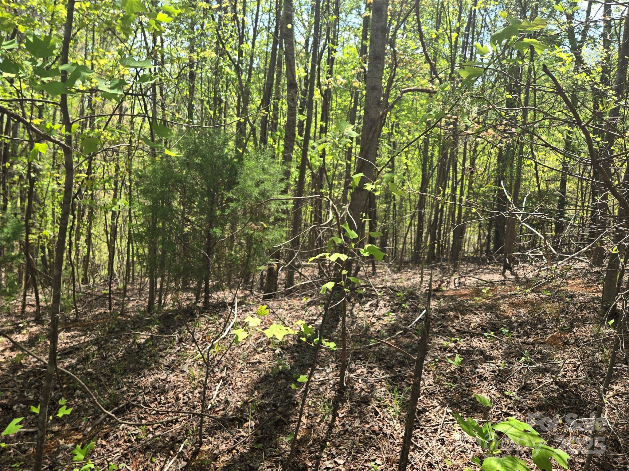 Lot 15 Touch Me Not TRL, Lake Lure, NC 28746