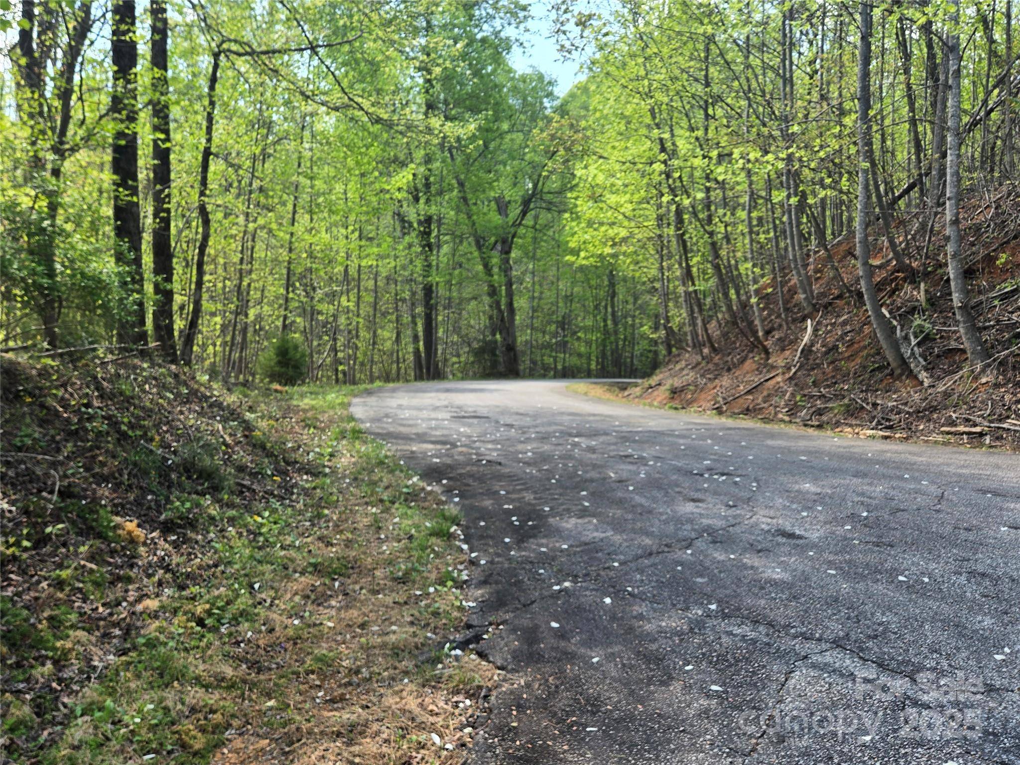Lot 15 Touch Me Not TRL, Lake Lure, NC 28746