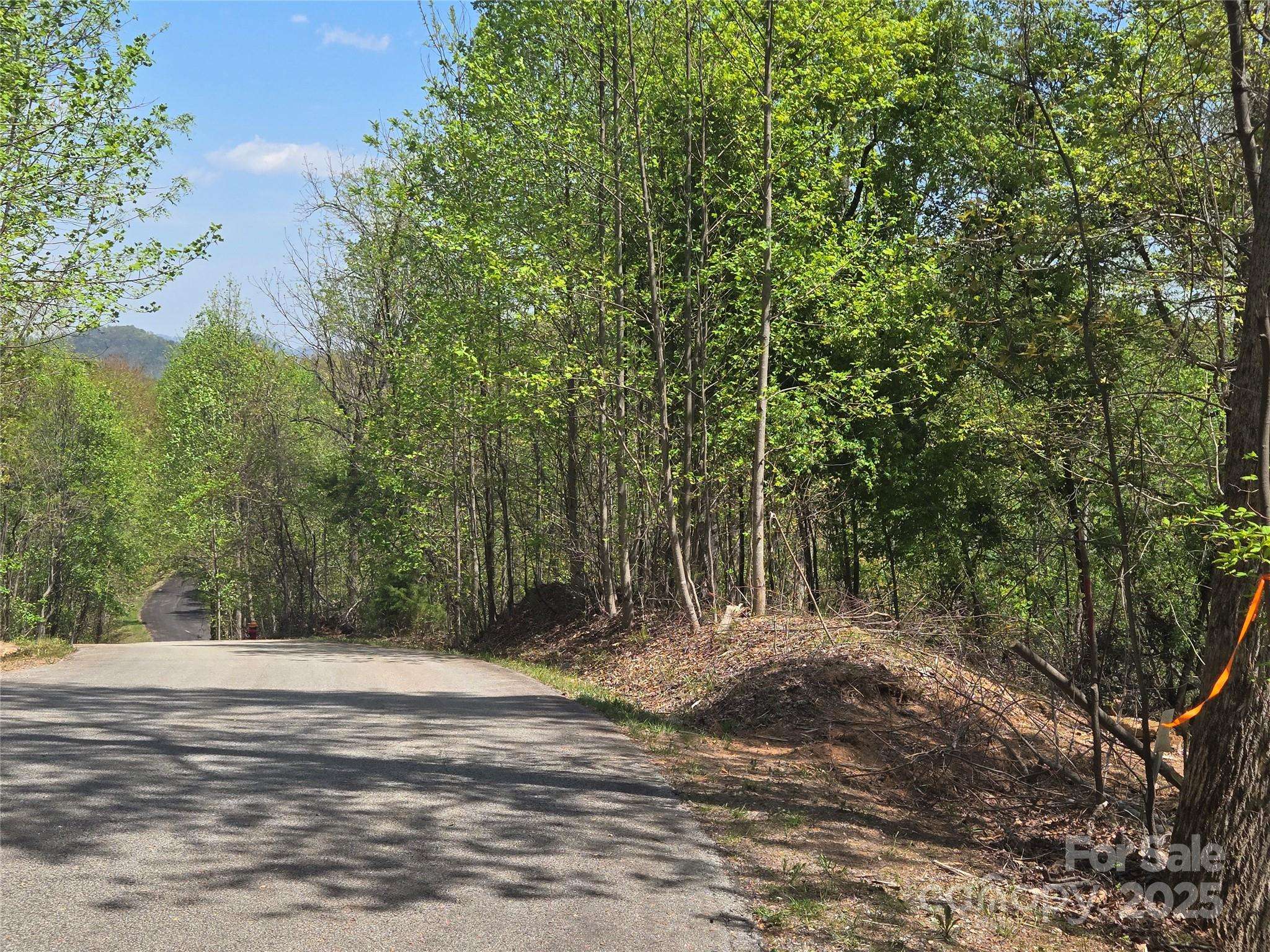 Lot 16 High Rock RDG, Lake Lure, NC 28746