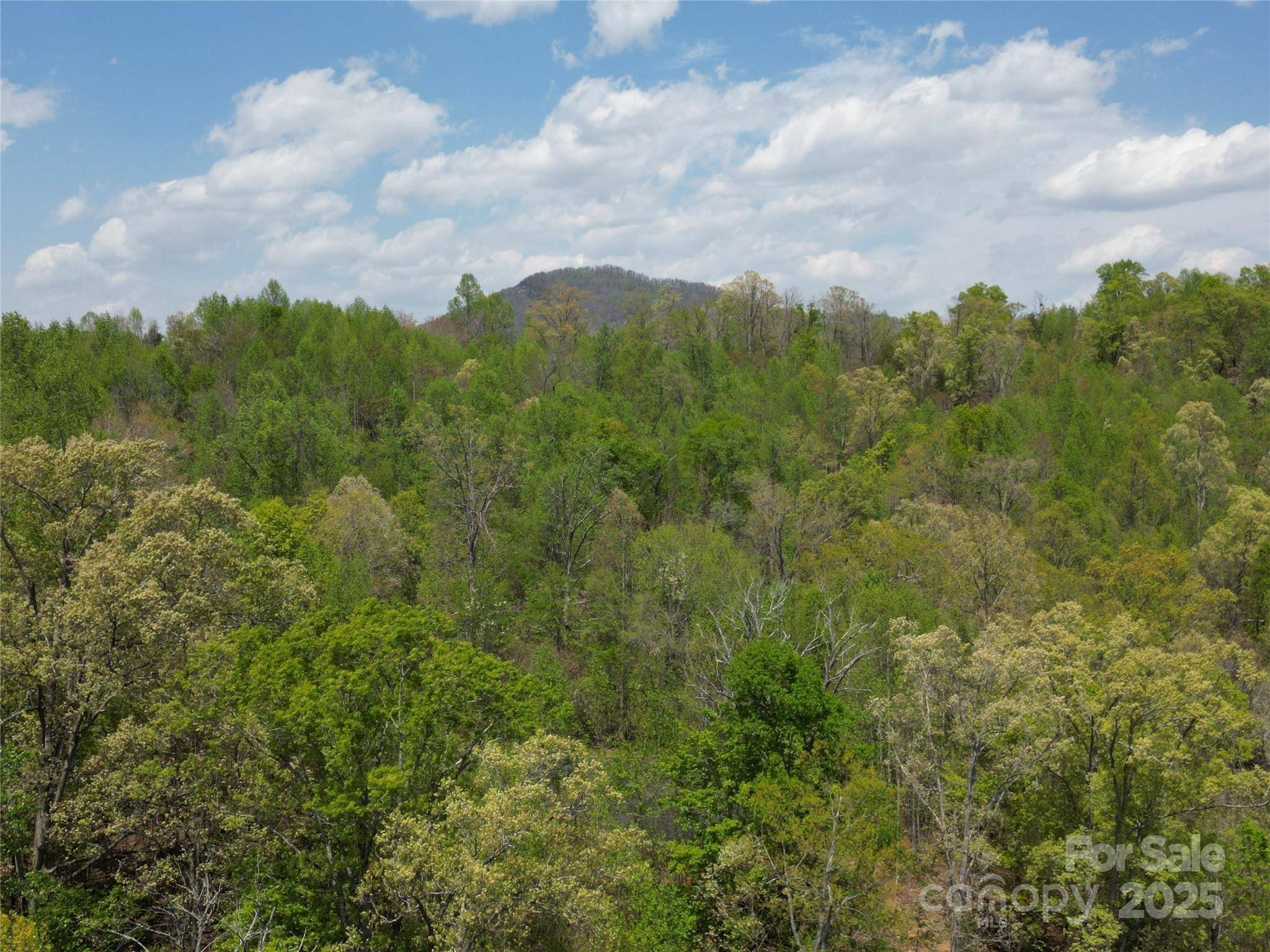 Lot 17 Touch Me Not TRL, Lake Lure, NC 28746