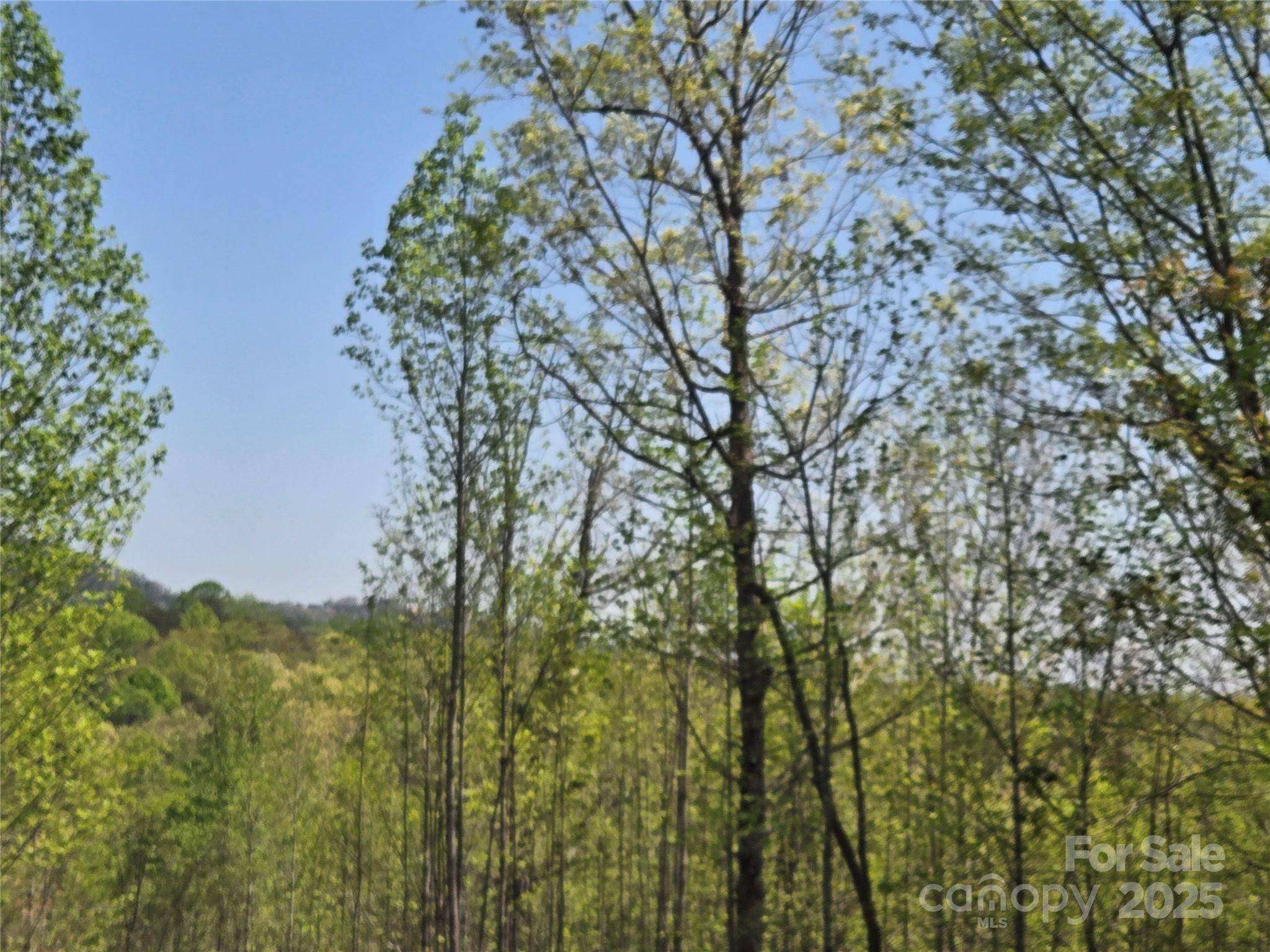 Lot 20 Touch Me Not TRL, Lake Lure, NC 28746