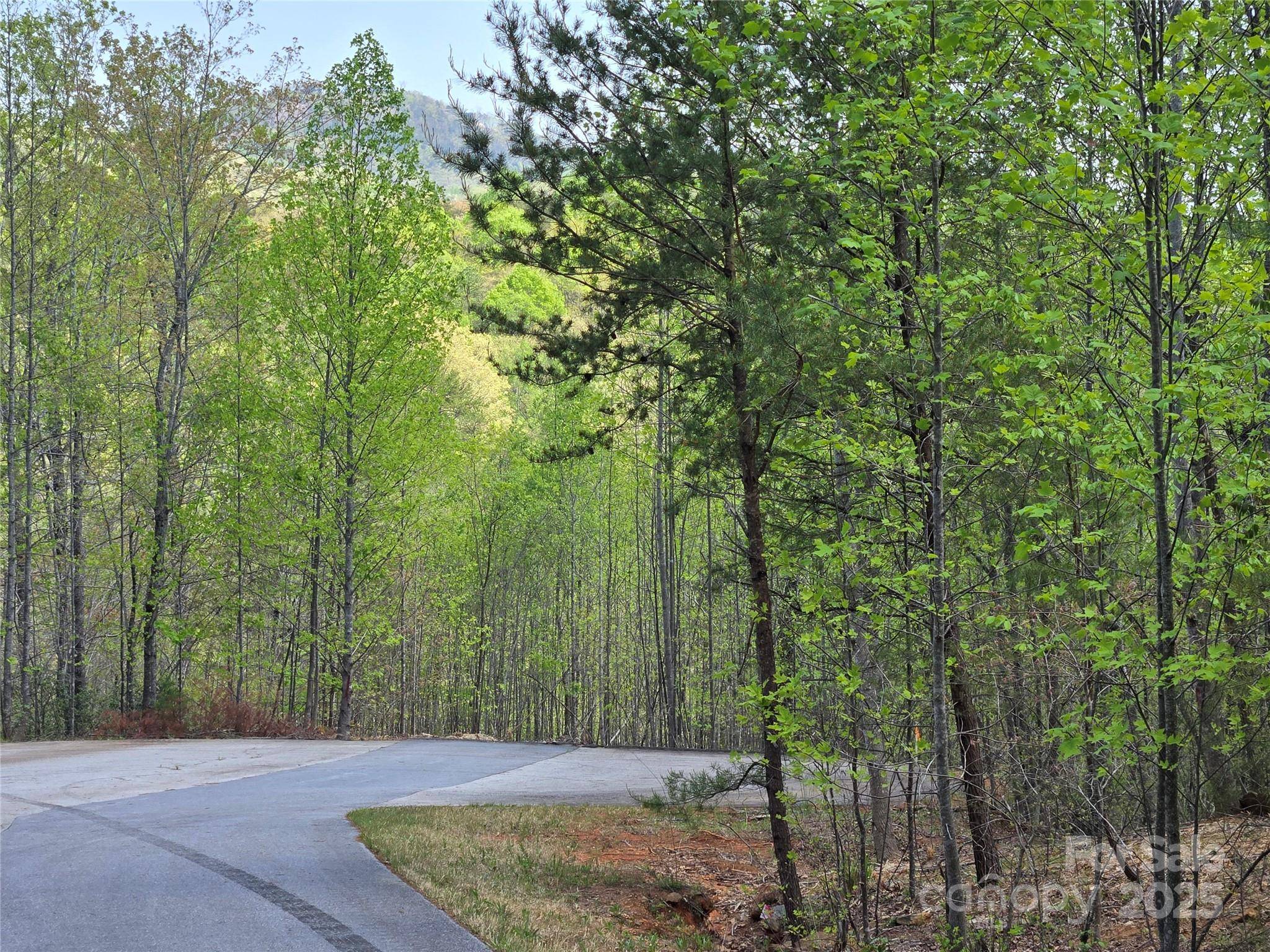 Lot 20 Touch Me Not TRL, Lake Lure, NC 28746