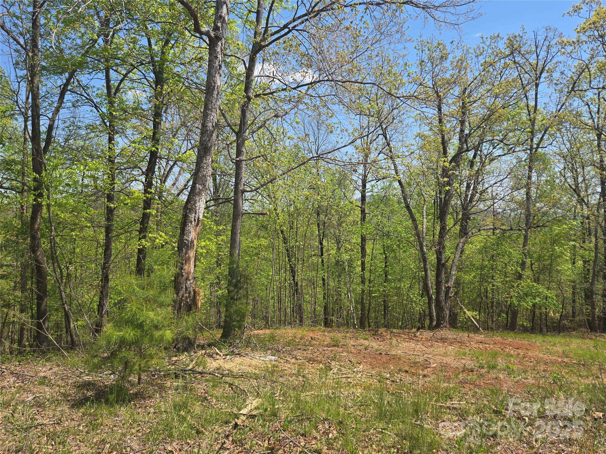 Lot 23 High Rock RDG, Lake Lure, NC 28746