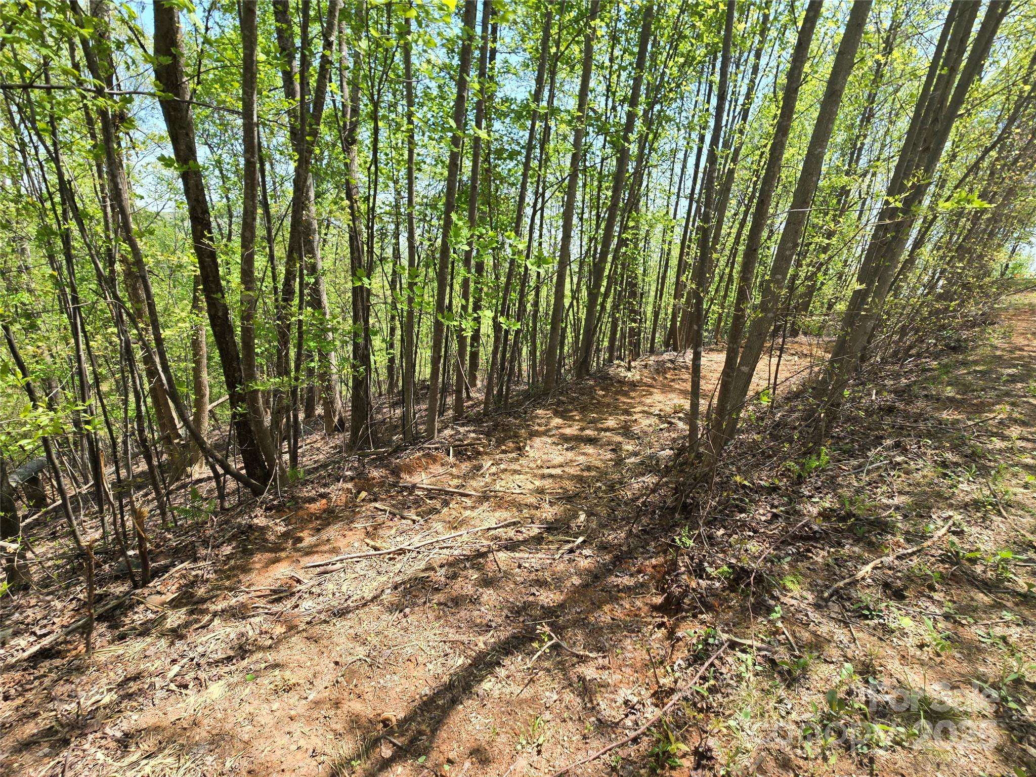 Lot 24 High Rock RDG, Lake Lure, NC 28746