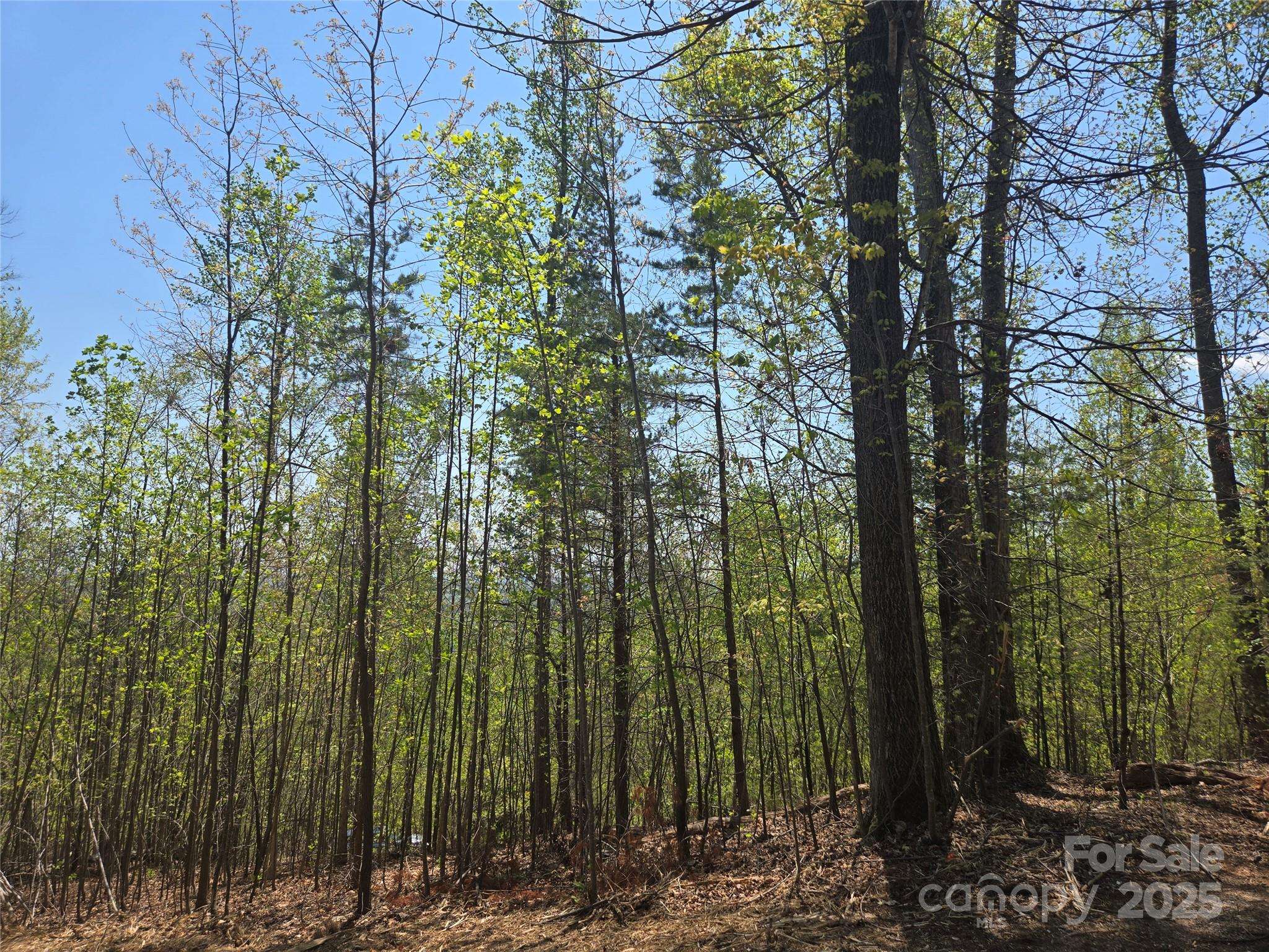 Lot 32 High Rock RDG, Lake Lure, NC 28746