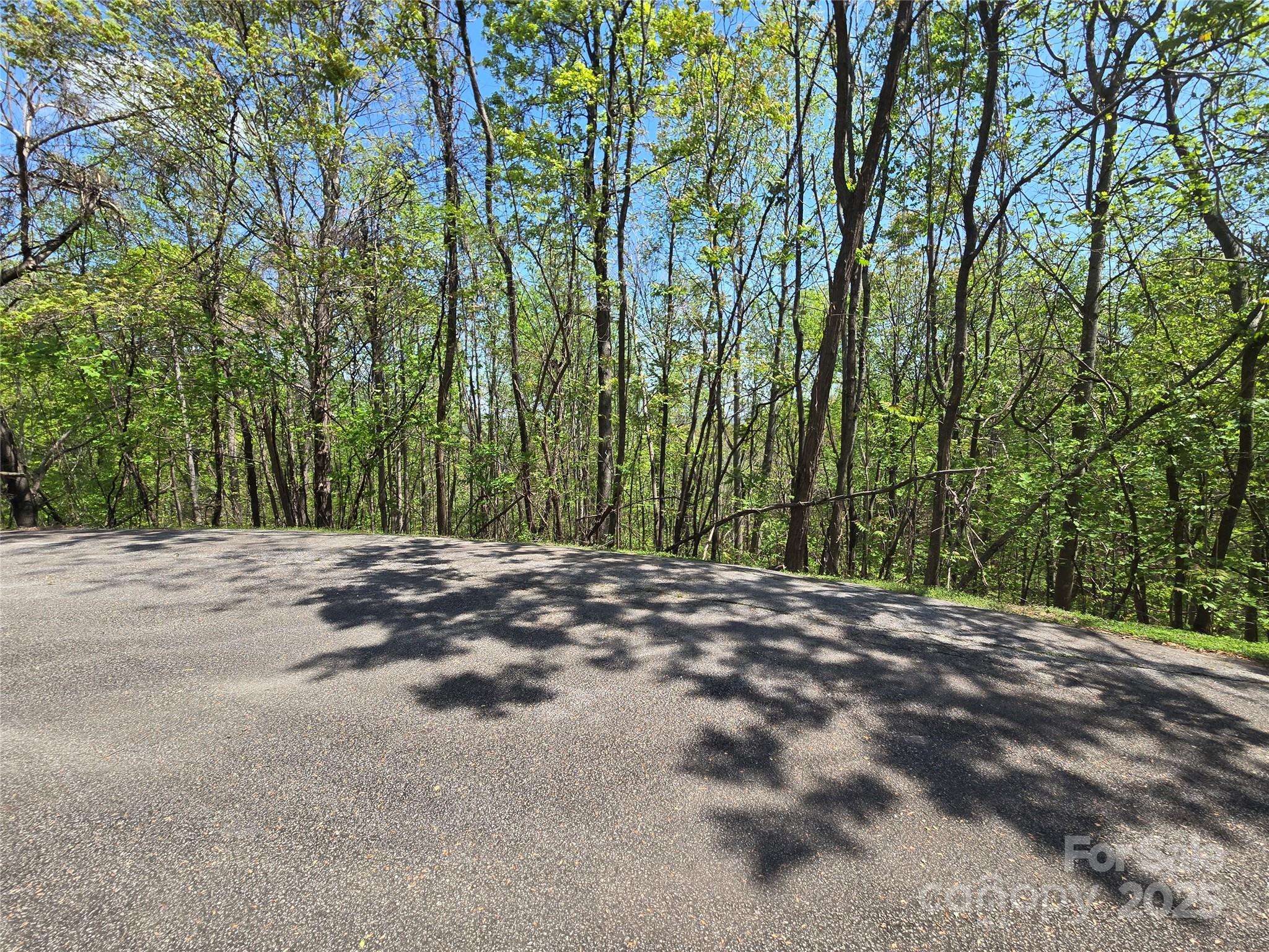Lot 33 Turkey Fall LN, Lake Lure, NC 28746