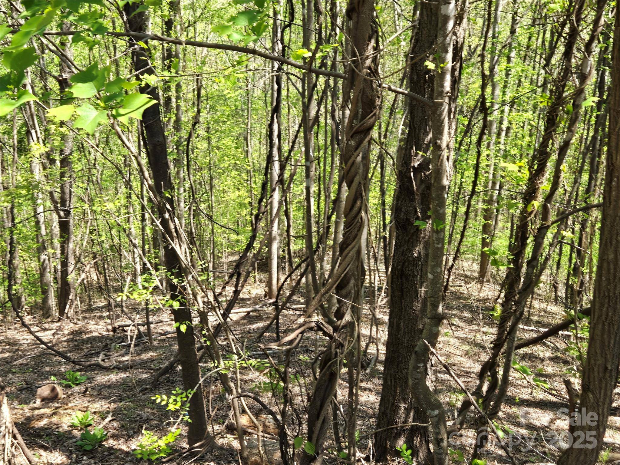 Lot 33 Turkey Fall LN, Lake Lure, NC 28746