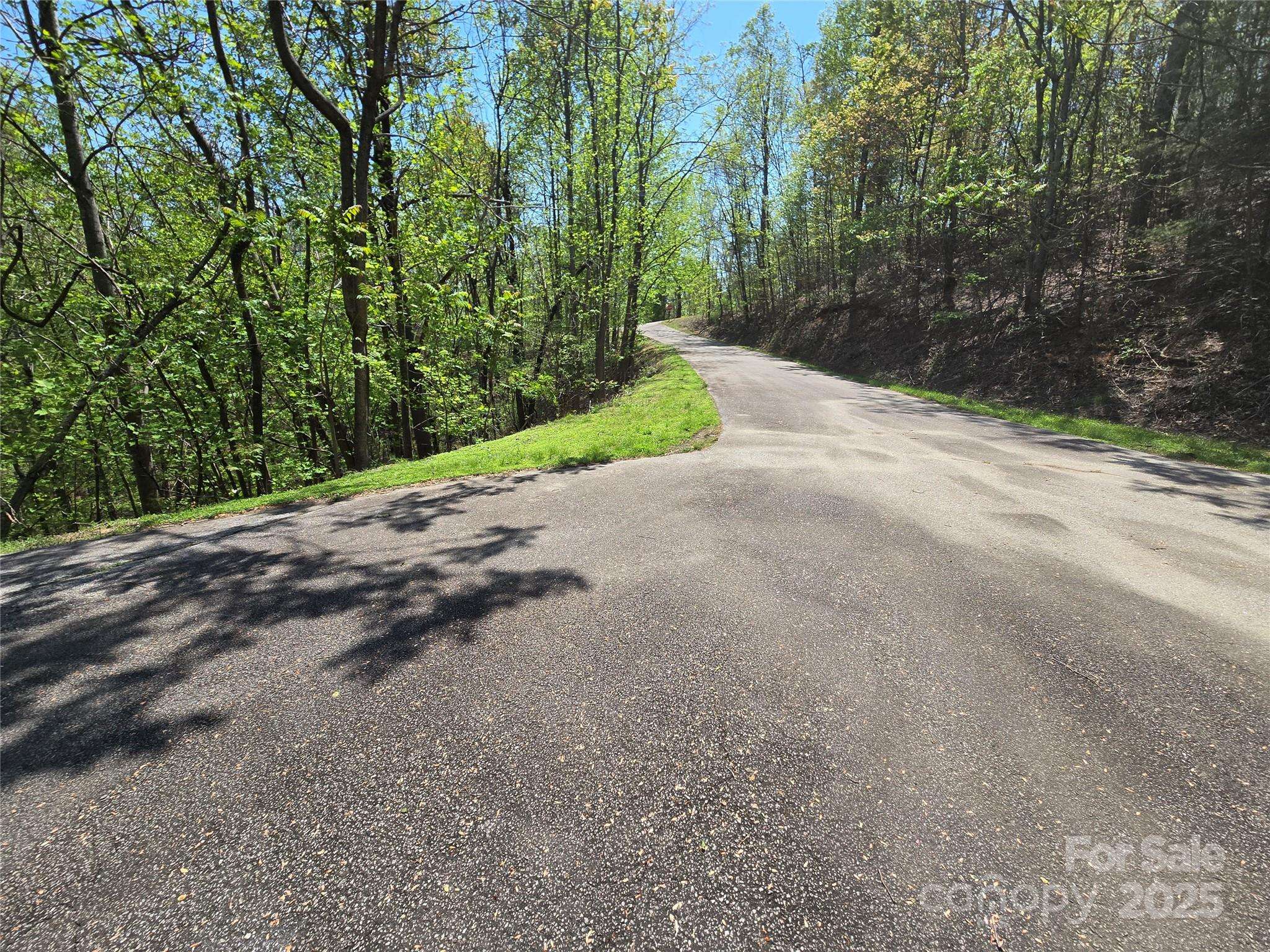 Lot 33 Turkey Fall LN, Lake Lure, NC 28746