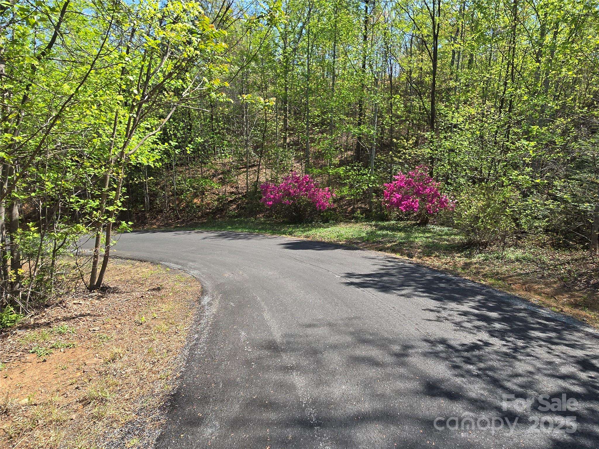 Lot 35 High Rock RDG, Lake Lure, NC 28746