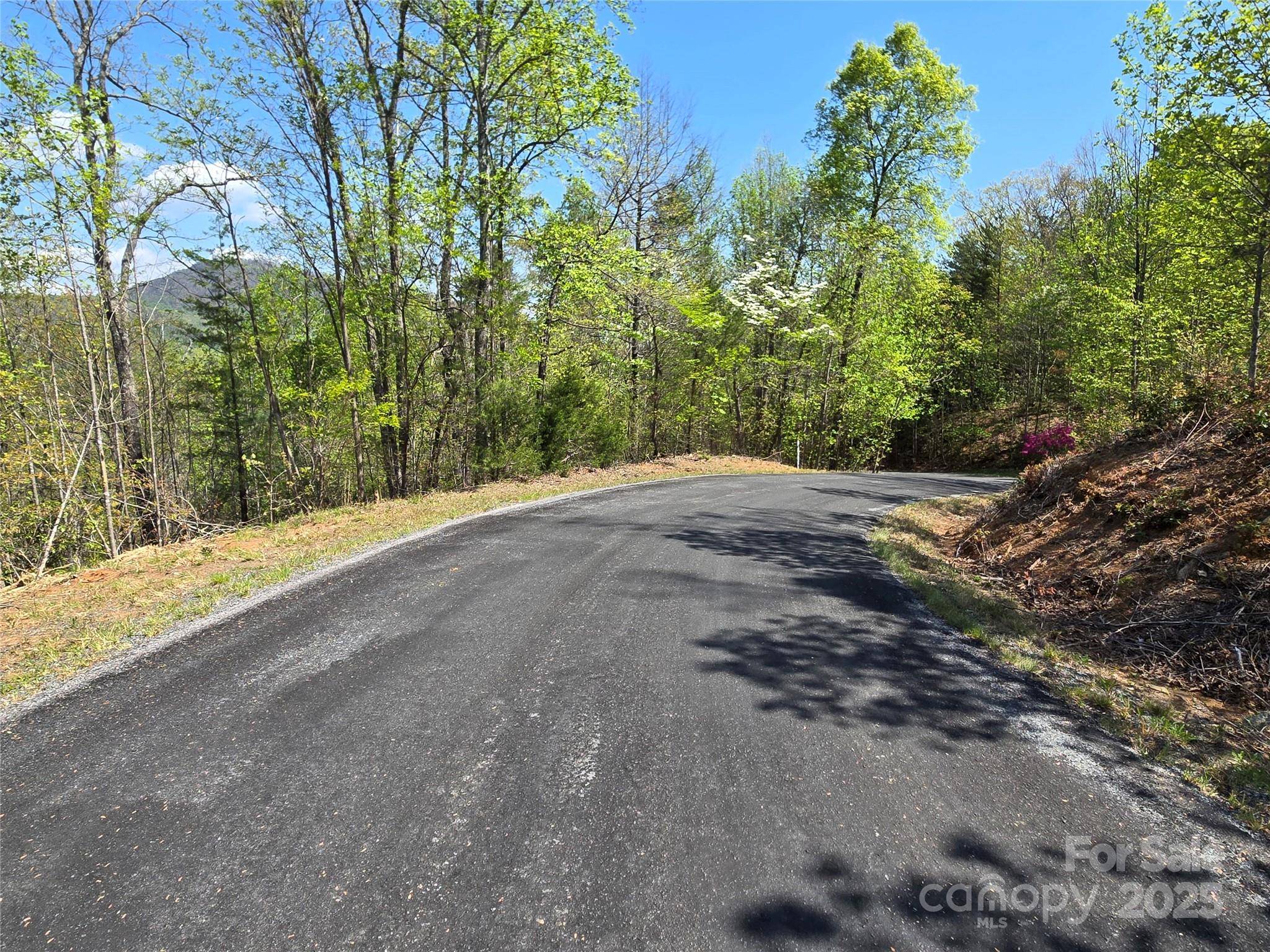 Lot 35 High Rock RDG, Lake Lure, NC 28746