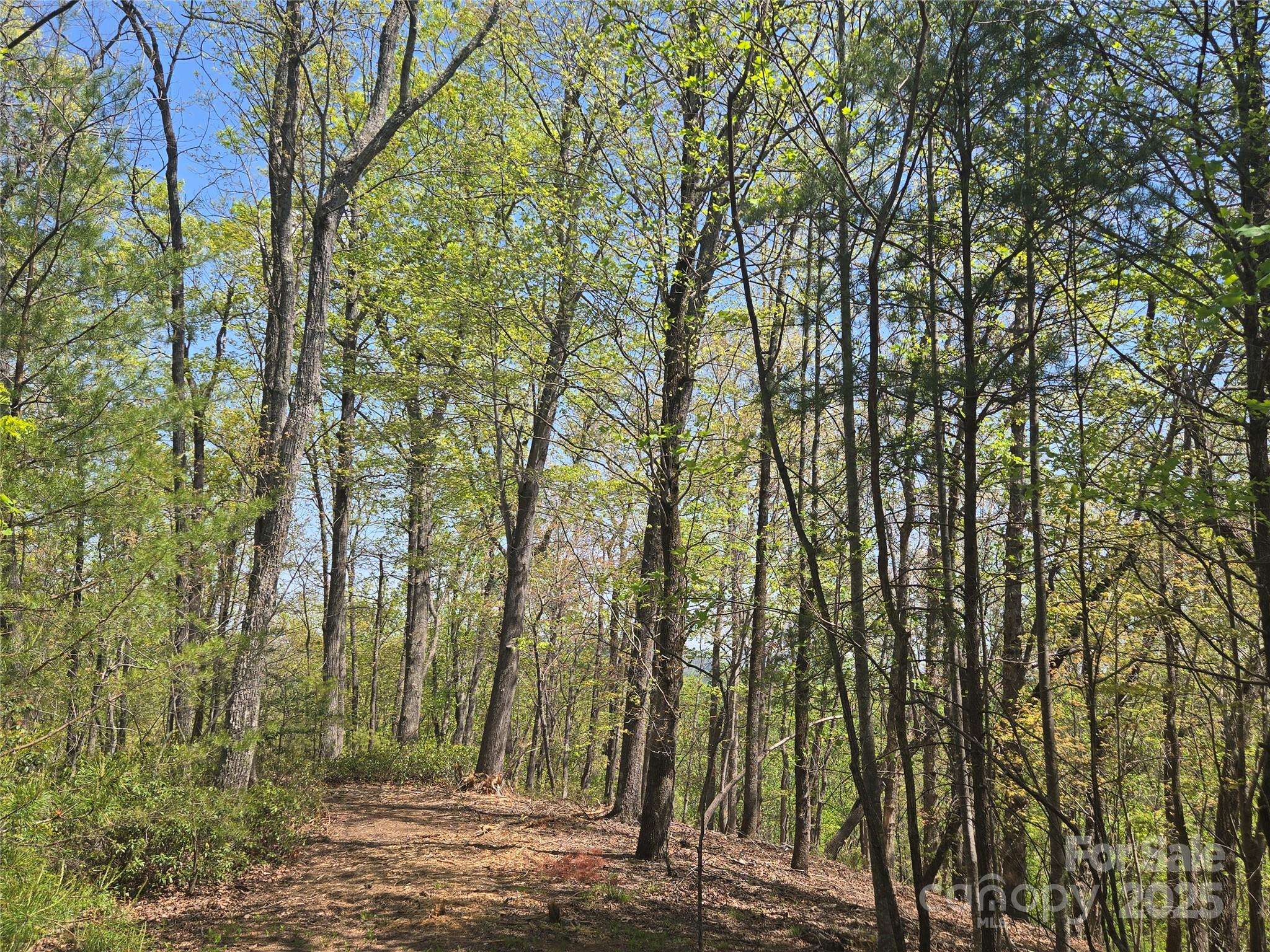 Lot 36 Turkey Fall LN, Lake Lure, NC 28746