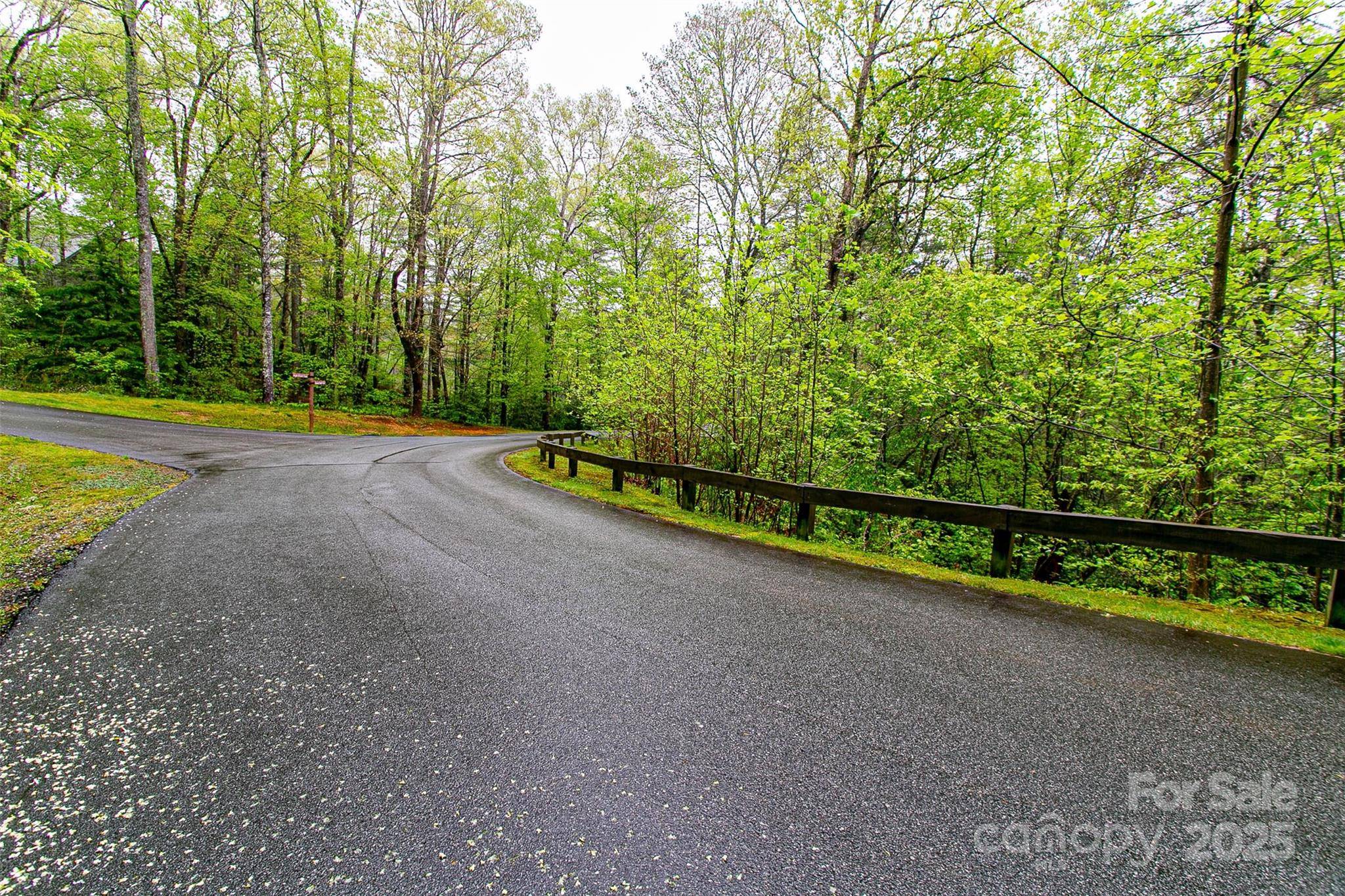 TBD High Hemlock TRL #46, Brevard, NC 28712