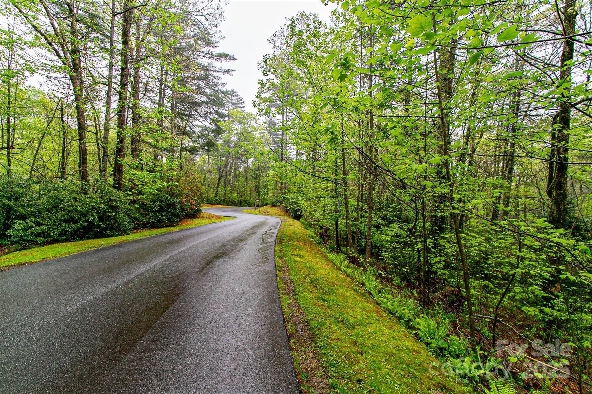 TBD High Hemlock TRL #46, Brevard, NC 28712