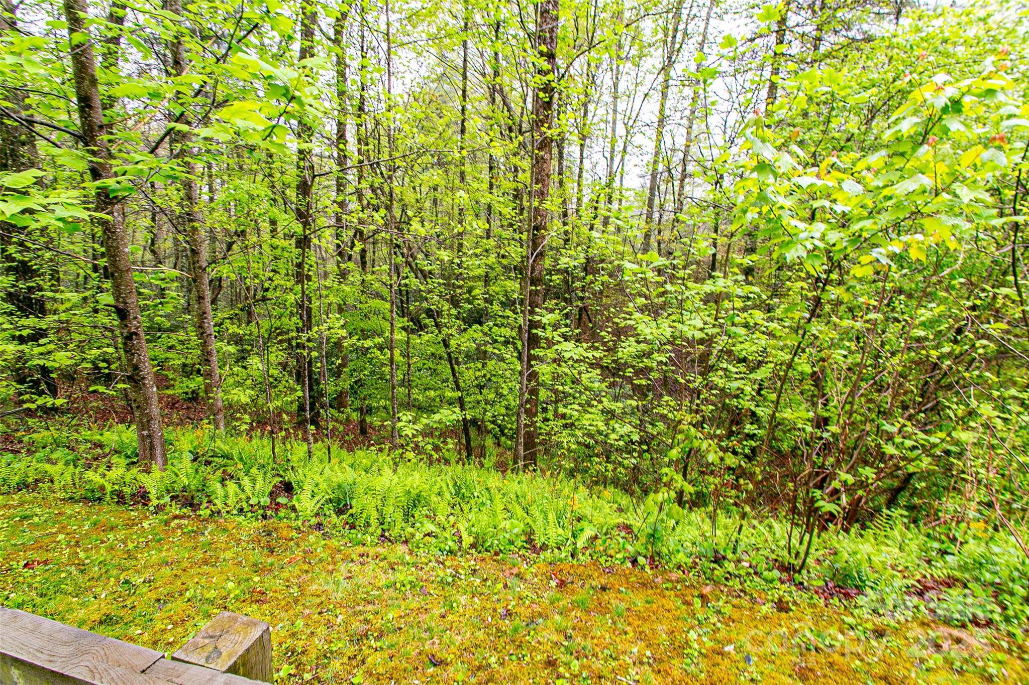 TBD High Hemlock TRL #46, Brevard, NC 28712