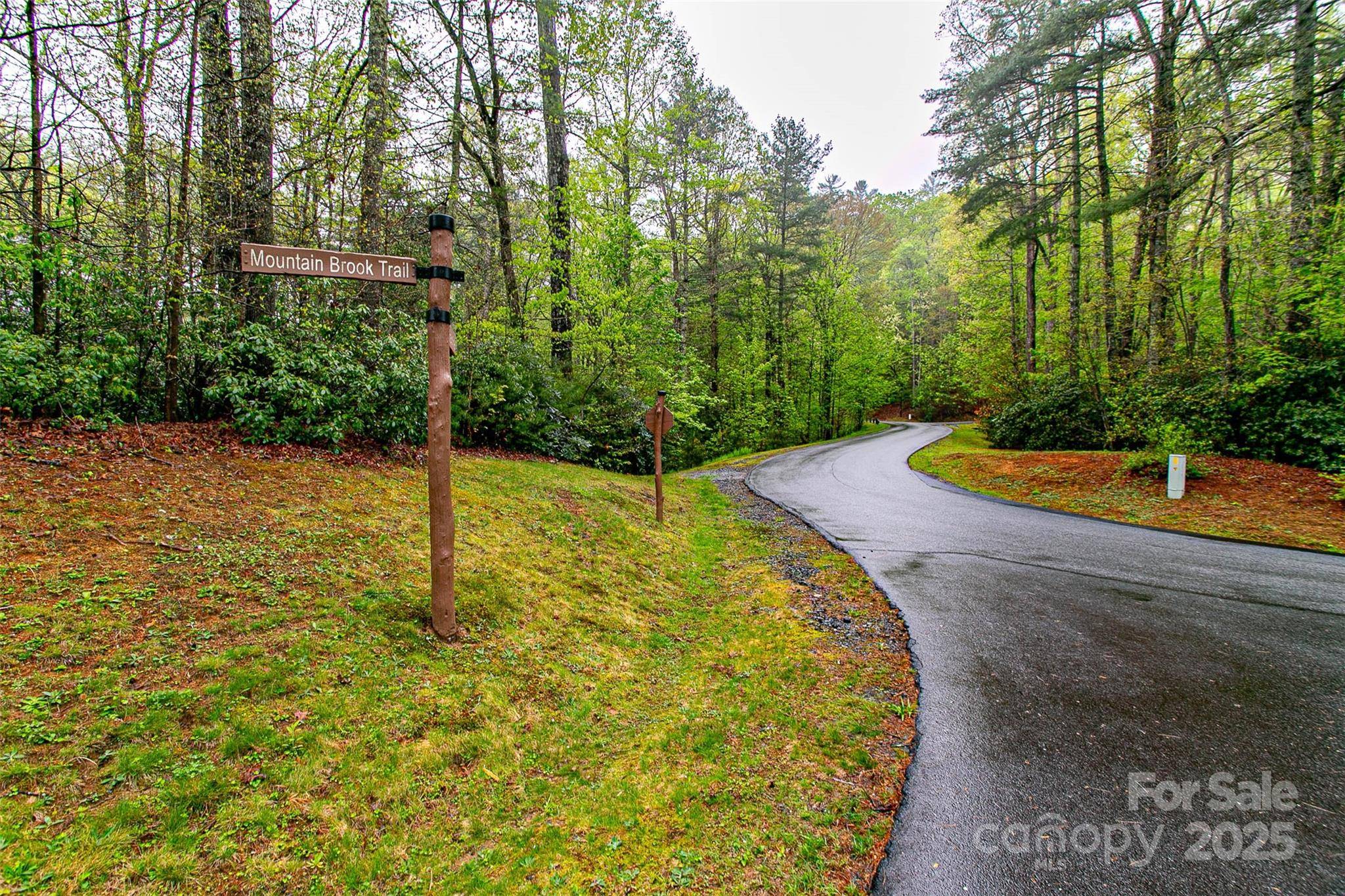 TBD High Hemlock TRL #46, Brevard, NC 28712
