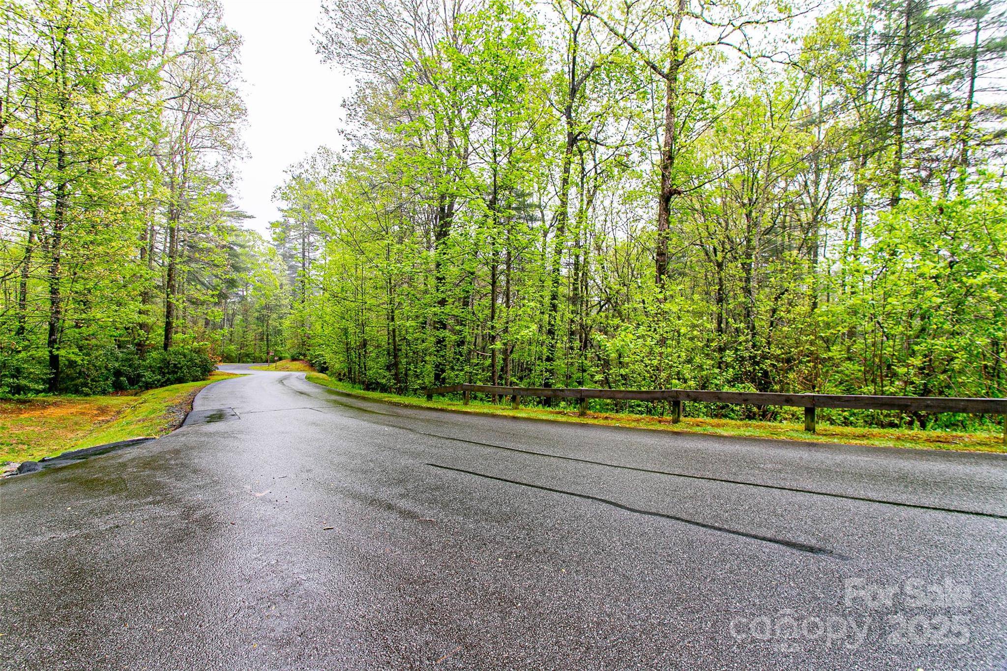 TBD High Hemlock TRL #46, Brevard, NC 28712
