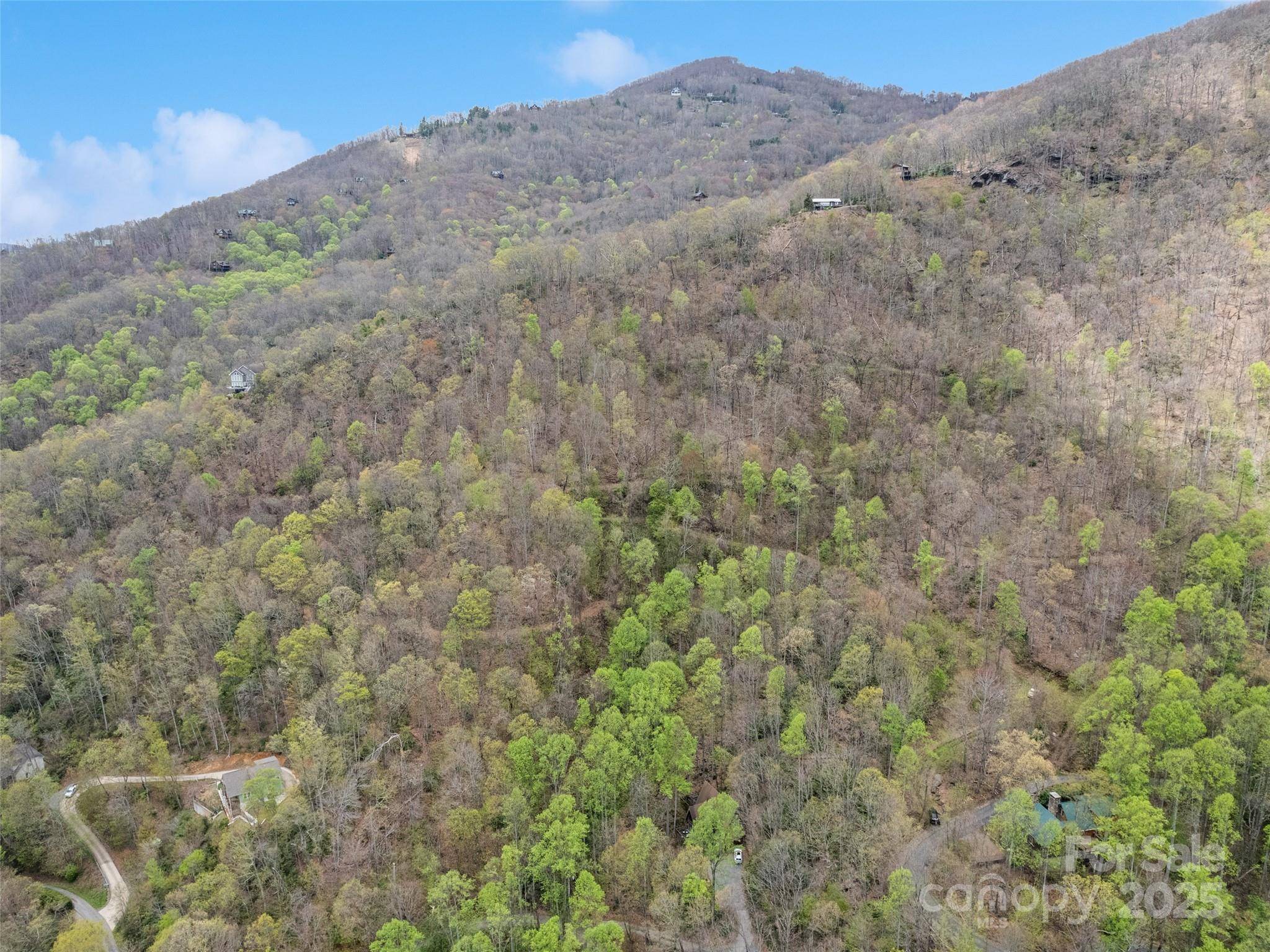 TBD Laurel Ridge DR, Maggie Valley, NC 28786