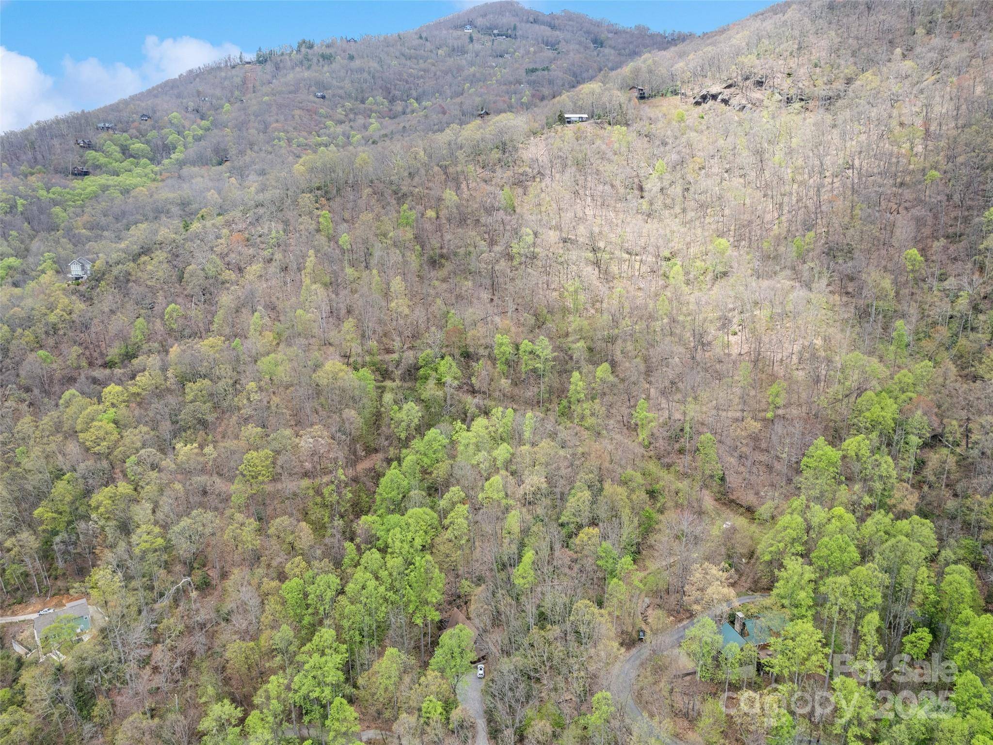 TBD Laurel Ridge DR, Maggie Valley, NC 28786