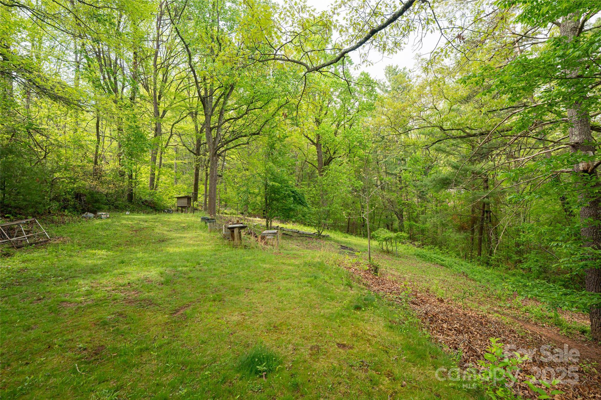 25 Coal Creek LN, Weaverville, NC 28787