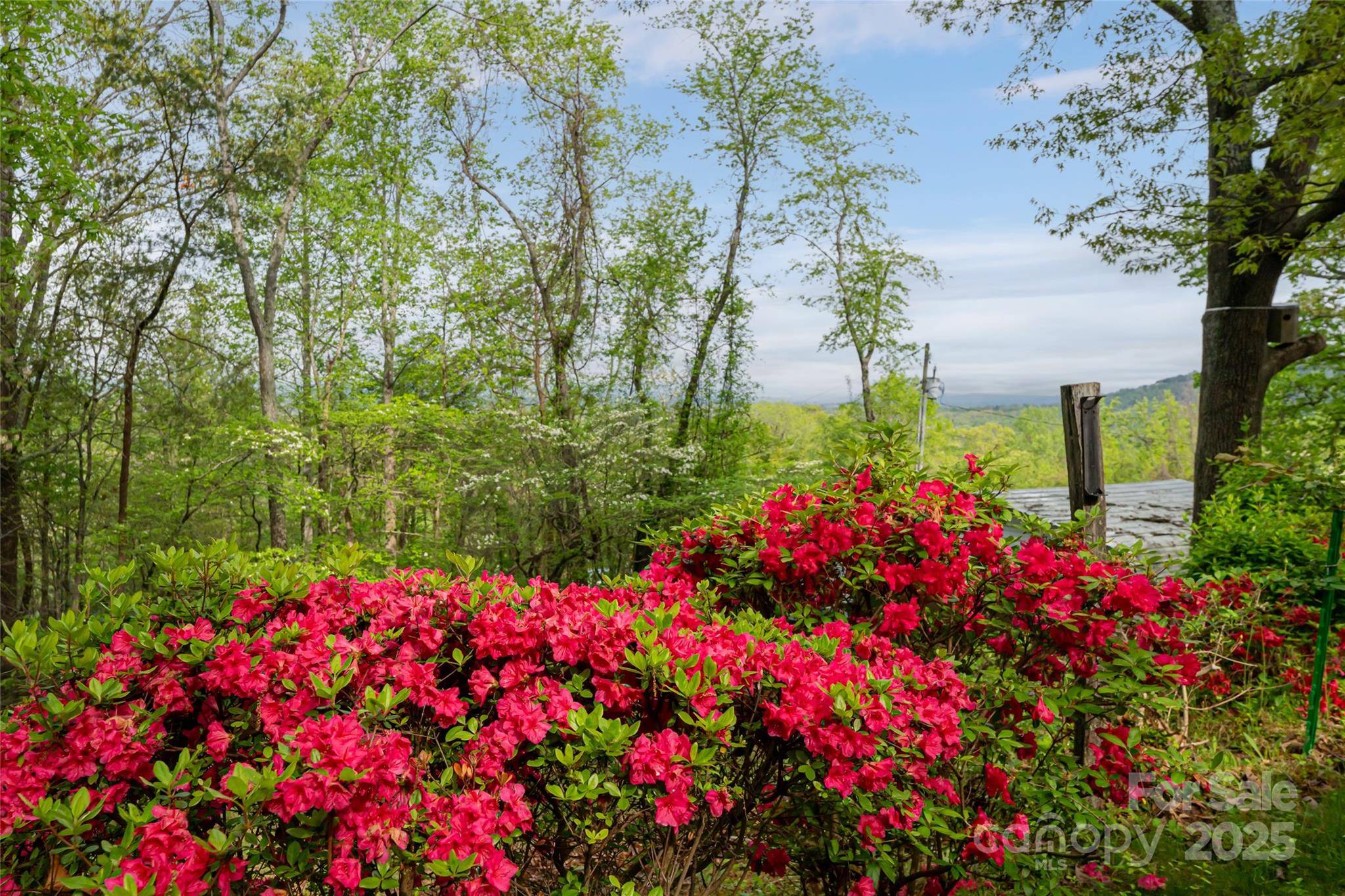 25 Coal Creek LN, Weaverville, NC 28787