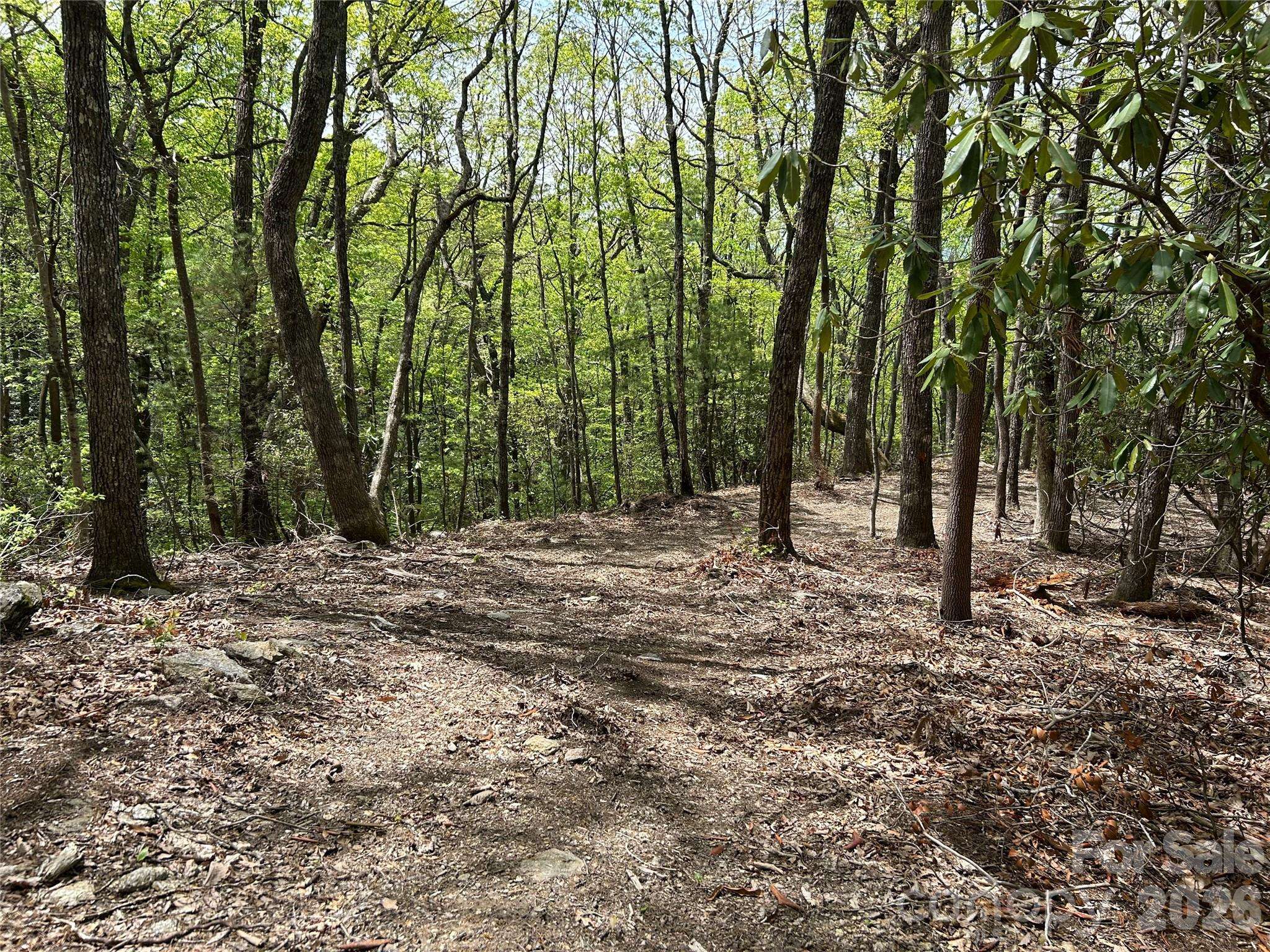 000 John Delk RD #2&6, Hendersonville, NC 28792