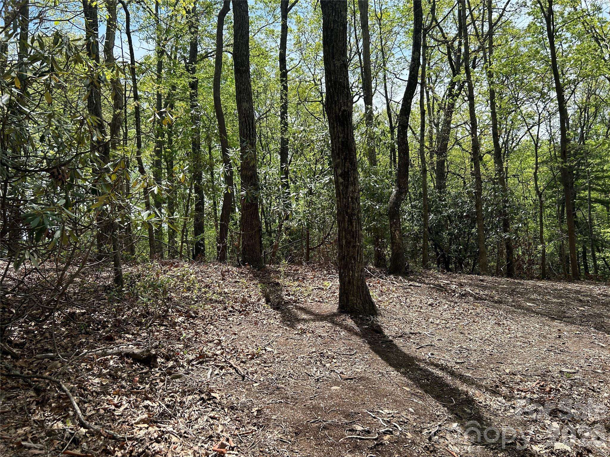 000 John Delk RD #2&6, Hendersonville, NC 28792