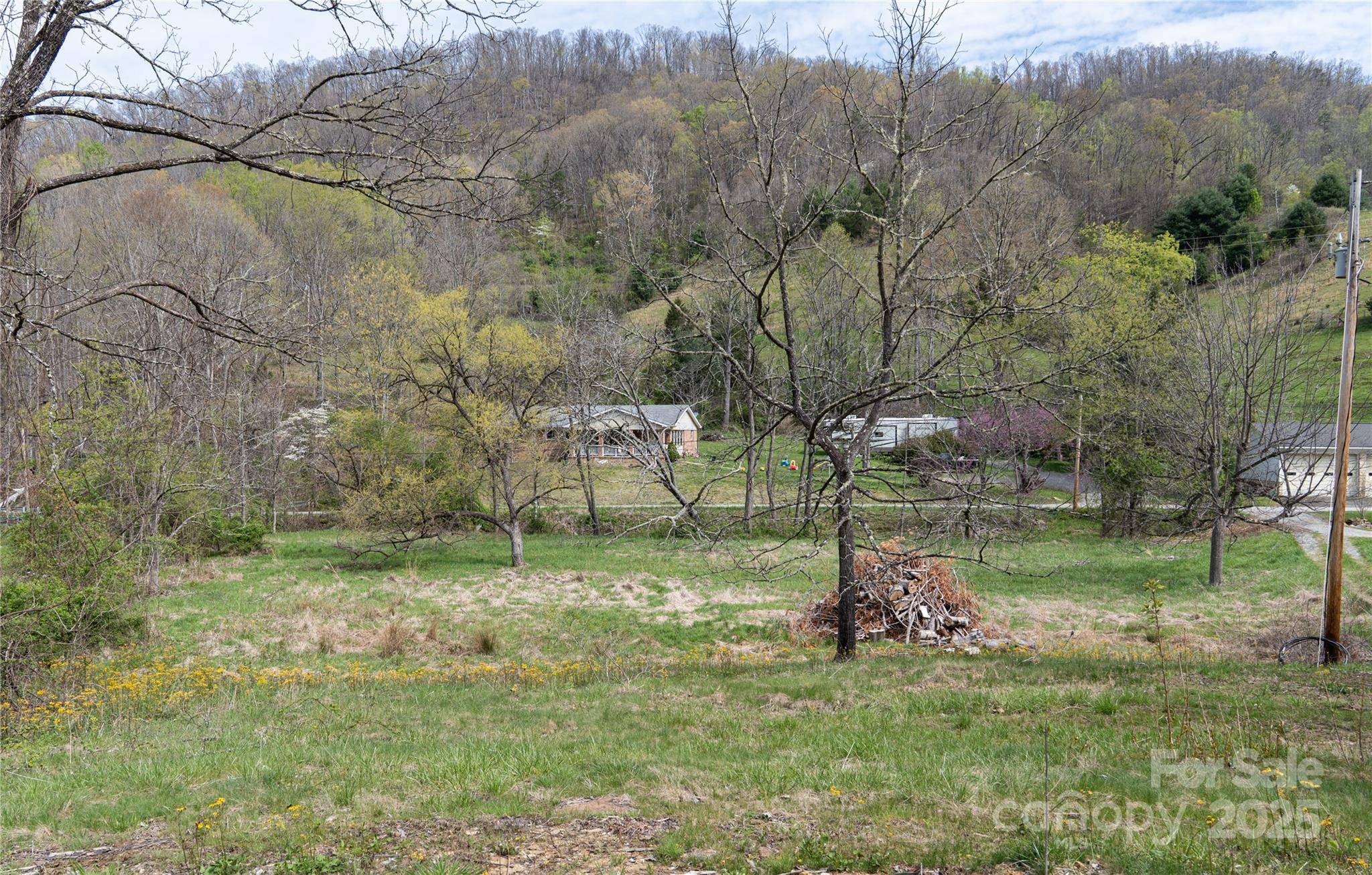 1408 Hamburg RD, Mars Hill, NC 28754
