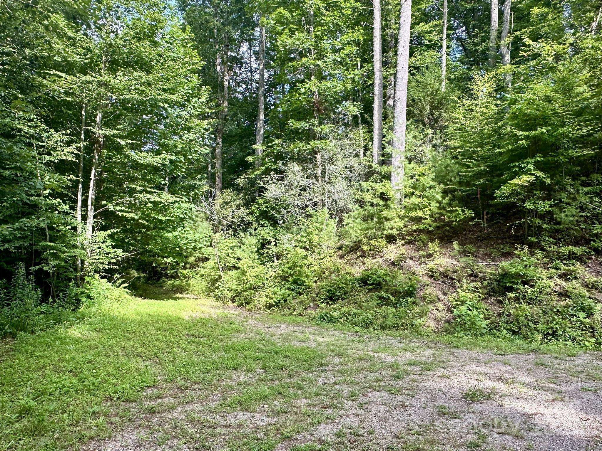 13 Wildlife DR #13, Clyde, NC 28721